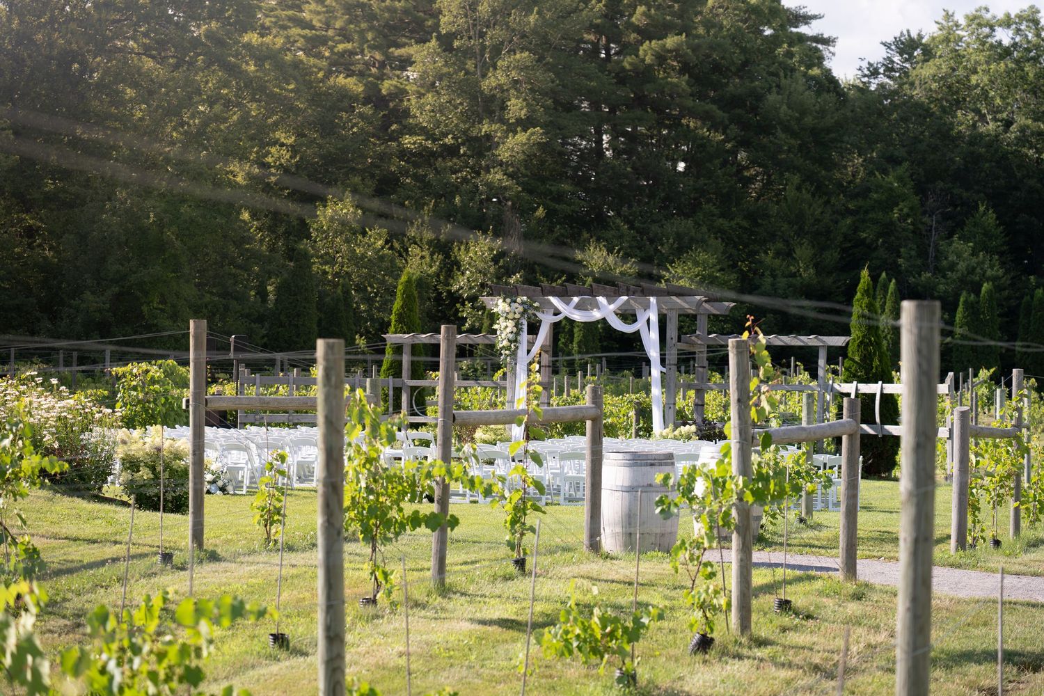 Outdoor vineyard wedding ceremony setup with white chairs, floral arch, and lush green trees in background.