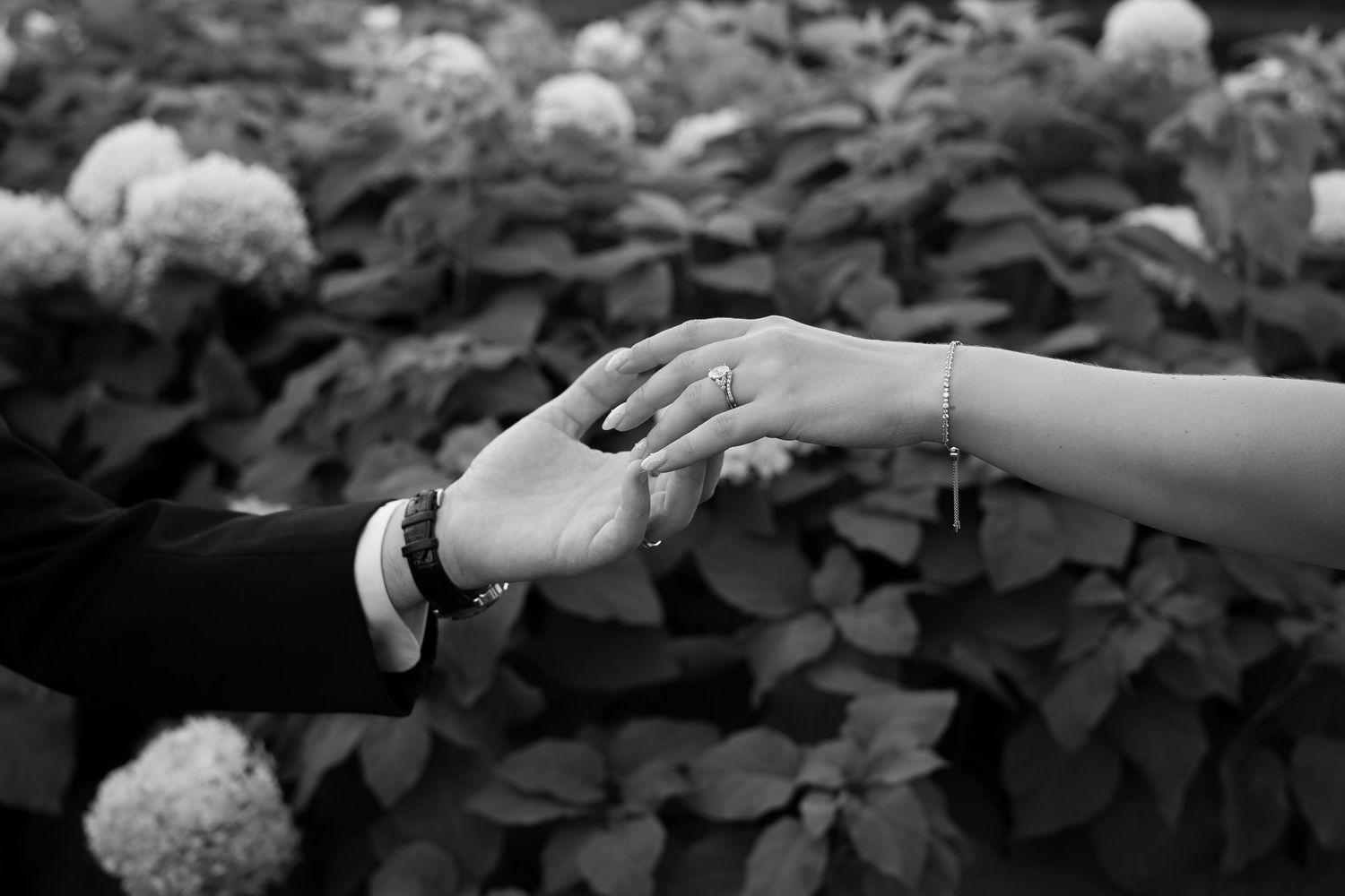 Black and white photo of two hands touching, adorned with jewelry, against a backdrop of blooming hydrangeas.