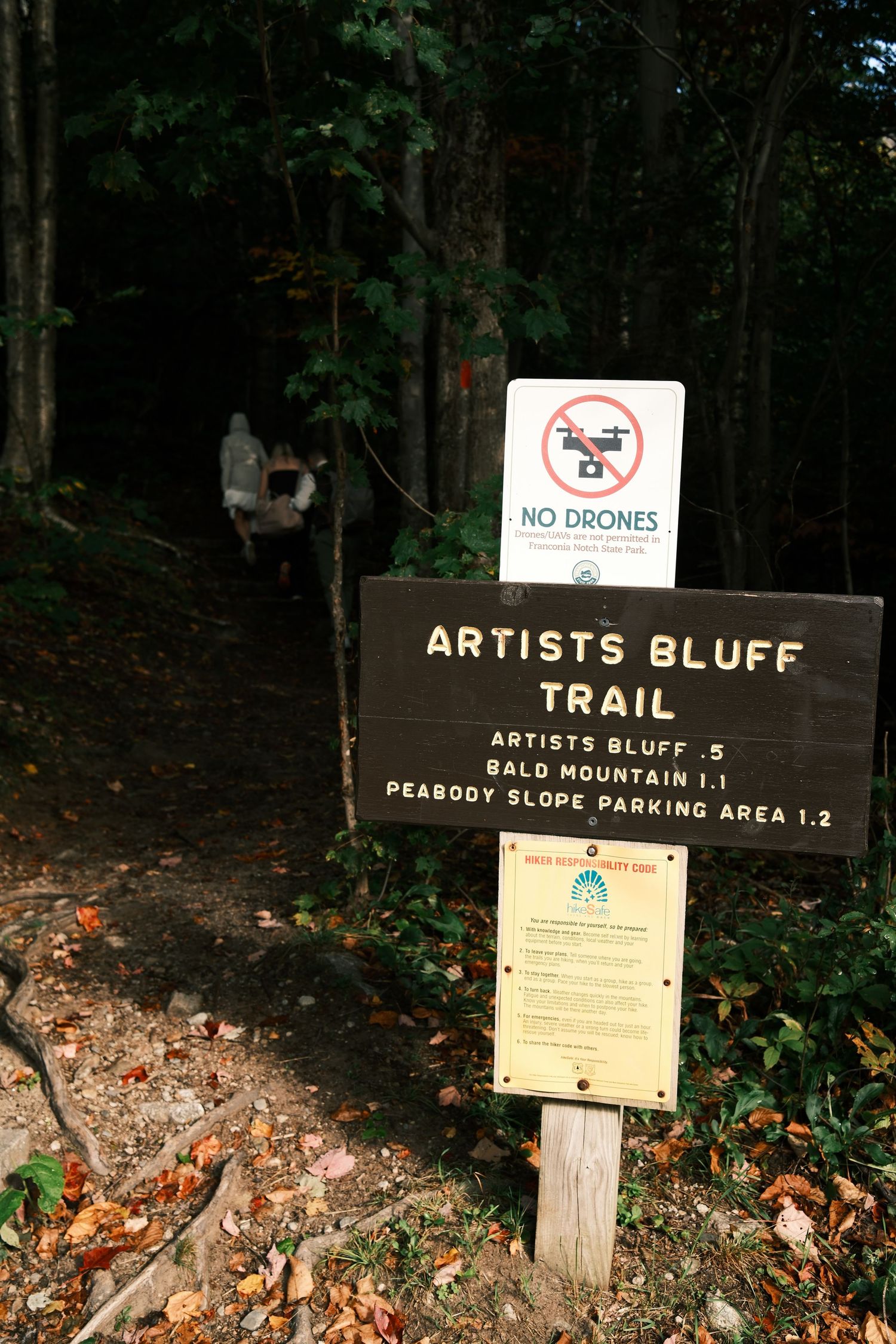 Artists Bluff Trail sign in White Mountain National Forest showing distances, with a No Drones warning sign above.