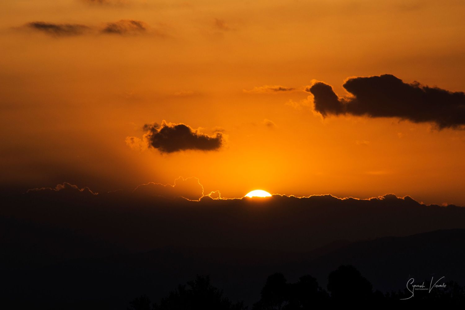 Majestic African safari sunset in the Maasai Mara - acacia tree silhouette under a fiery sky, Kenya landscape photography