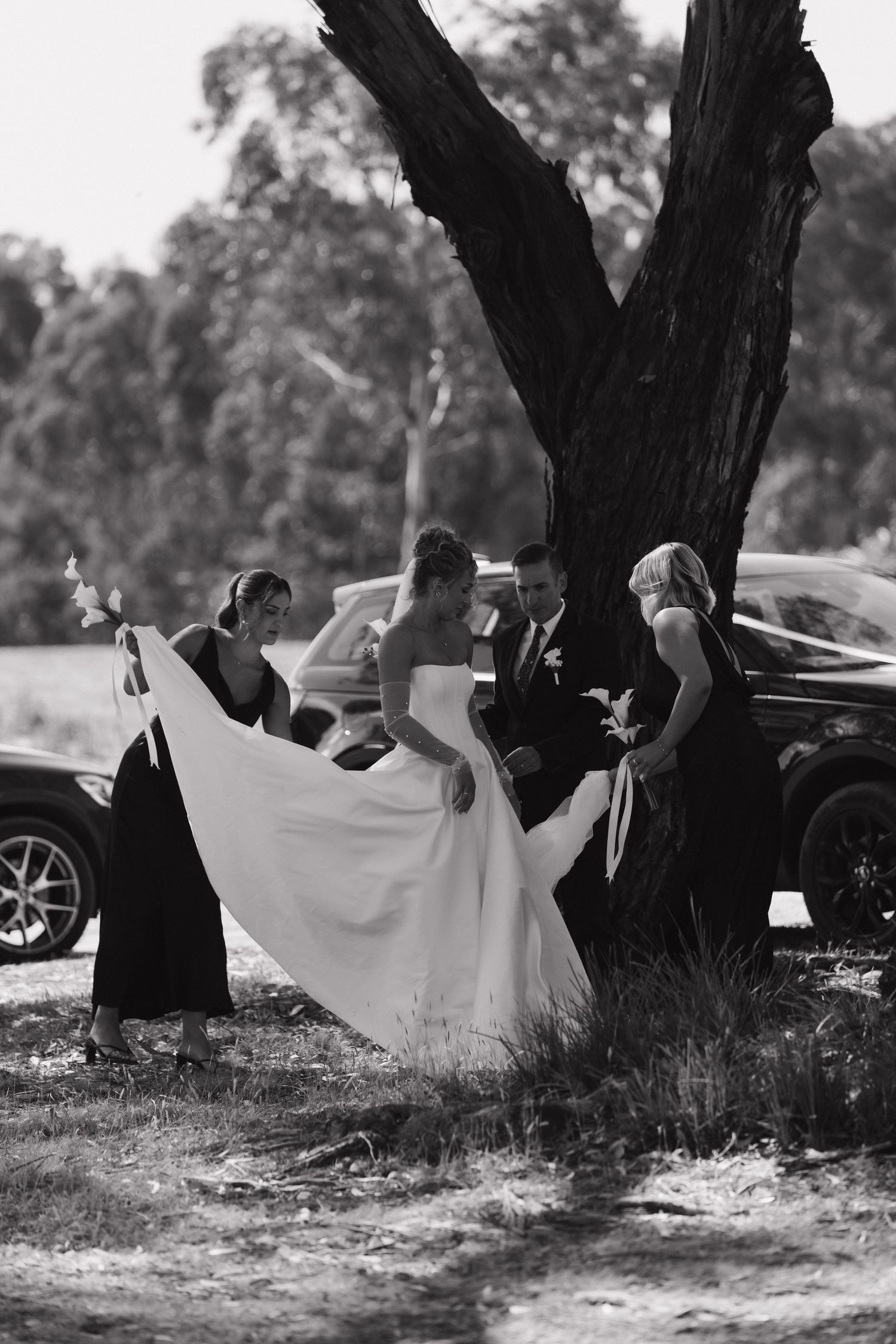 Wedding party relaxing under large tree in black and white photography.