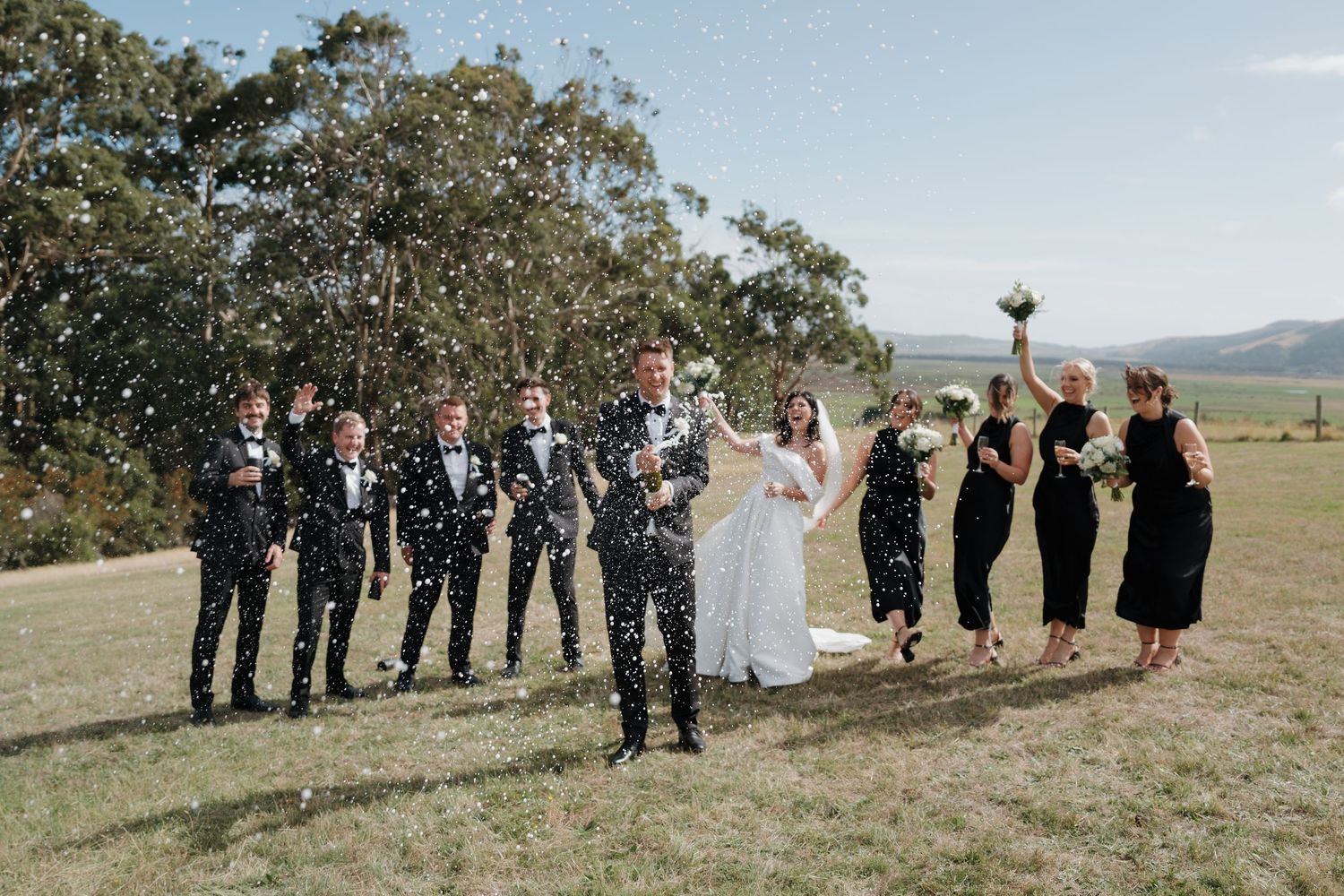 Wedding party lined up outdoors against a mountain backdrop.