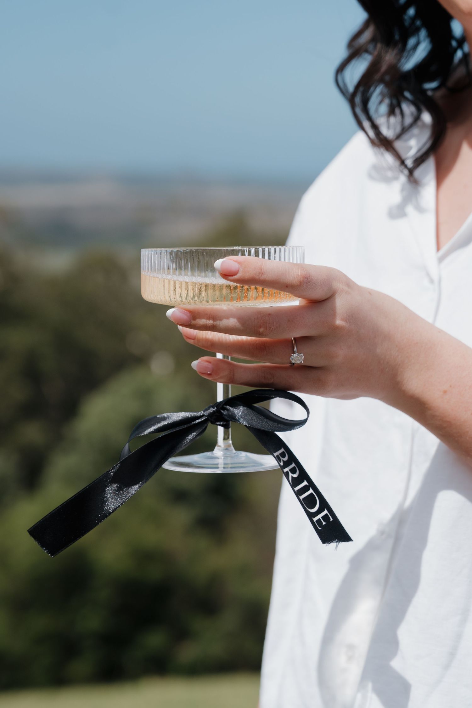 Champagne glasses with black ribbons held against scenic outdoor backdrop.