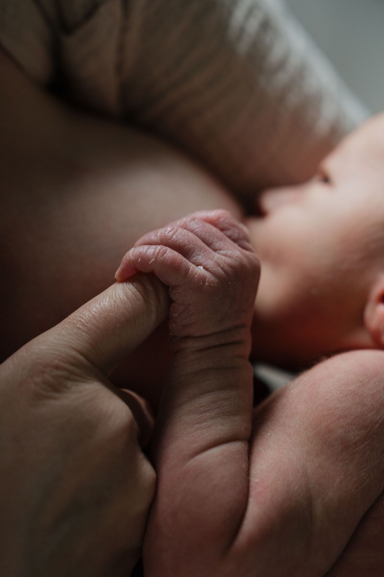 Close-up of a tiny newborn hand gripping an adult finger in soft lighting.
