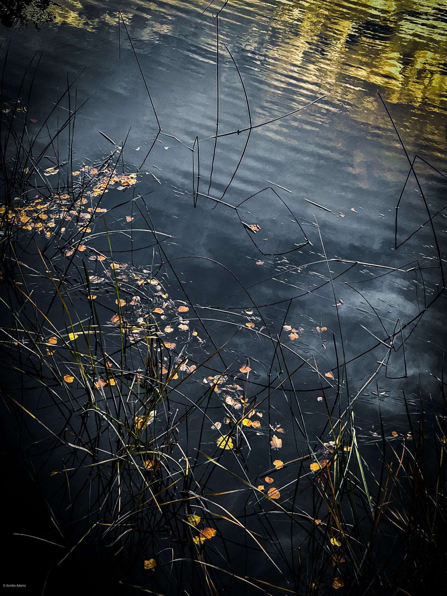 Reflektion