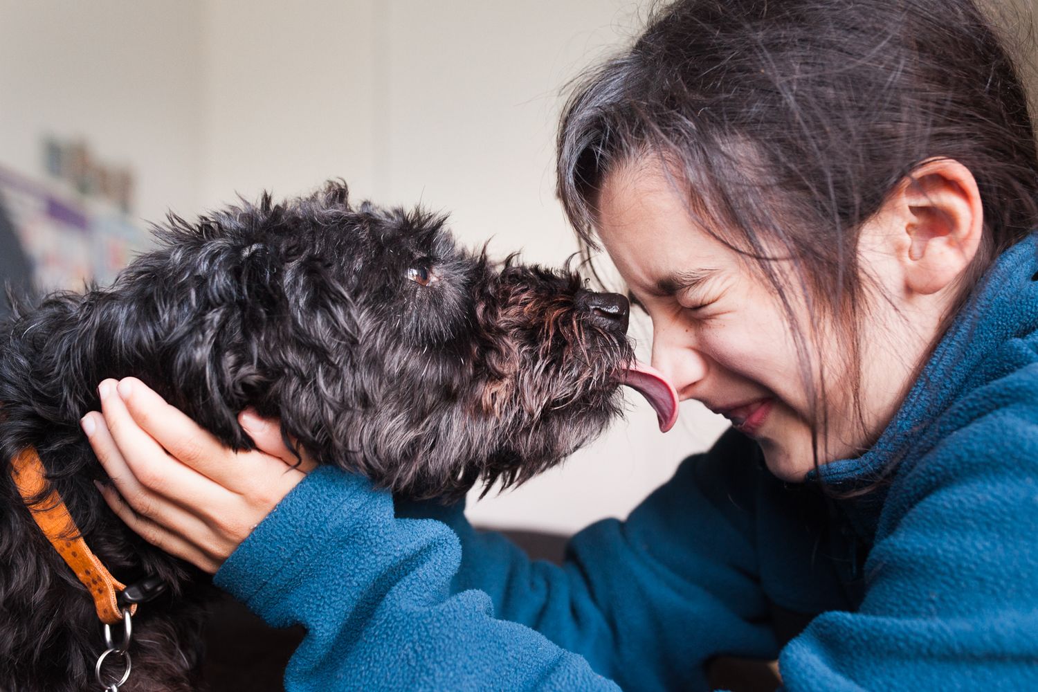 An intimate close-up image of a dog licking a child's nose.