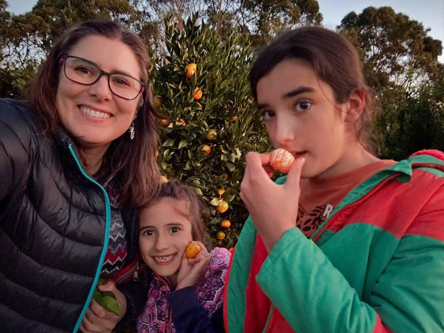Group of people enjoying the outdoors with mandarin trees in the background.