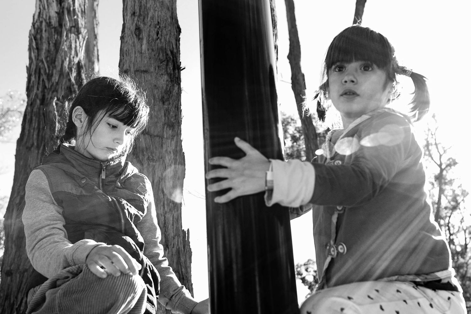 Black and white documentary photograph of children playing among tall tree trunks.