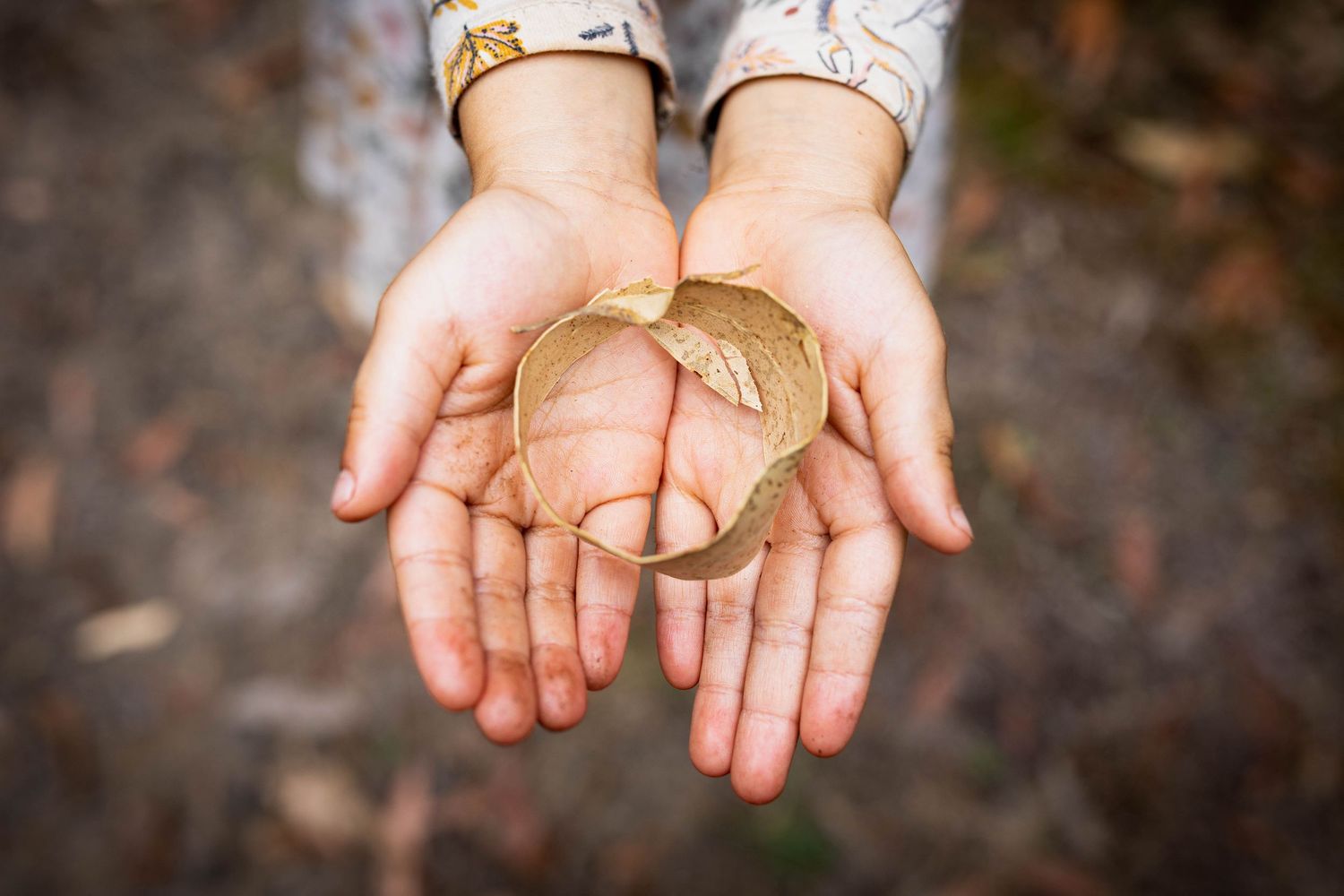 Close-up image of hands holding autumn leaves against a dark background.