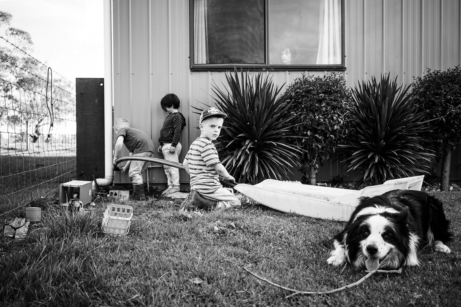 A panoramic image of a busy scene with a border collie dog, children and garden elements.