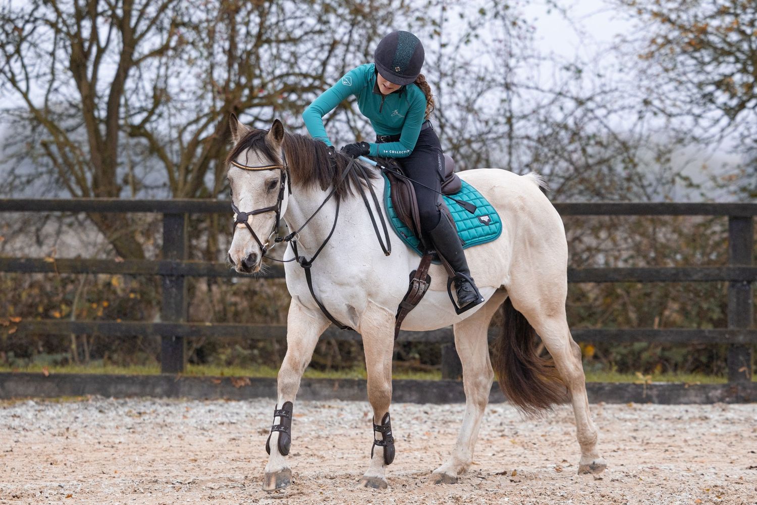 Equine photography portrait