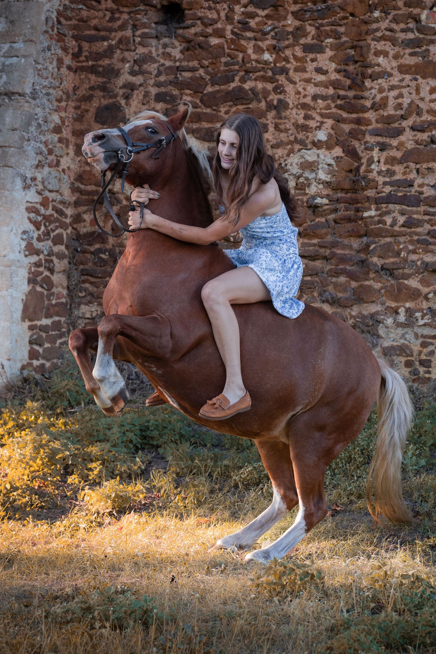 Equine photography woodland photos