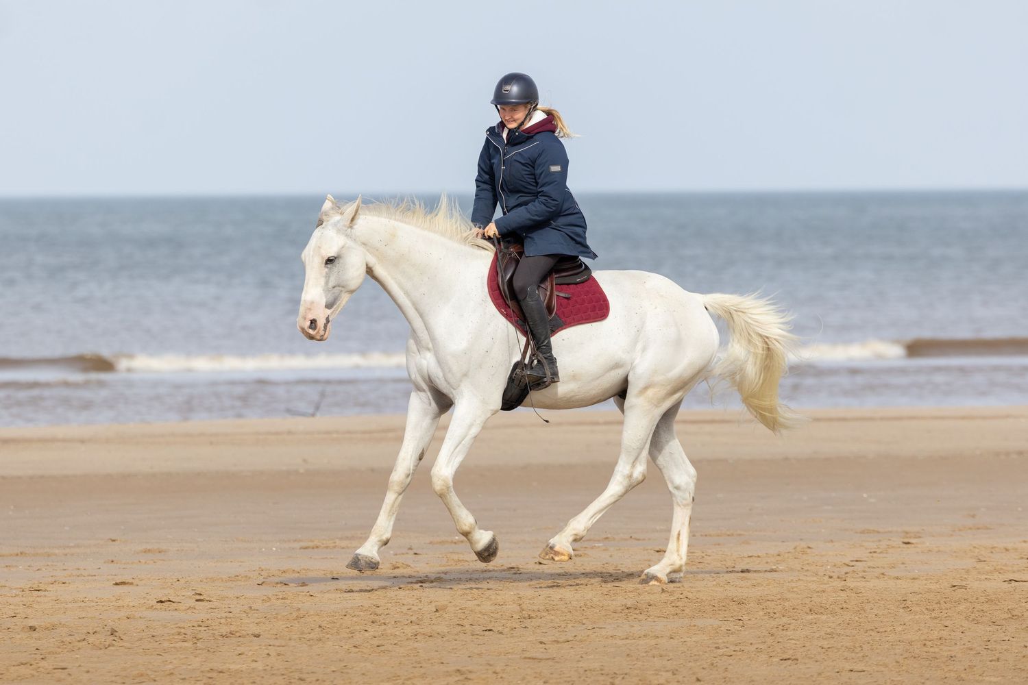 Equine photography norfolk beach riding