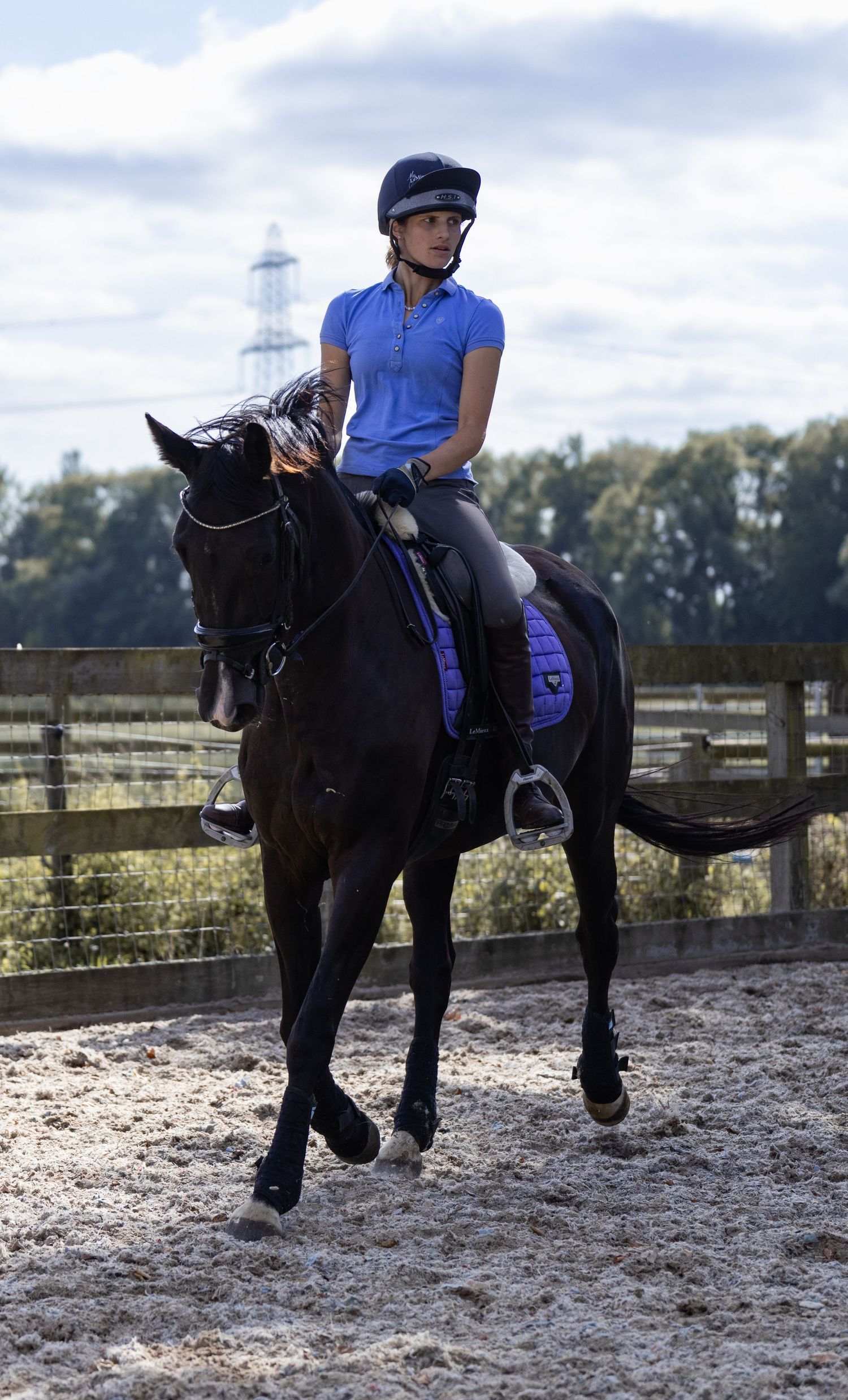 Equine photography portrait