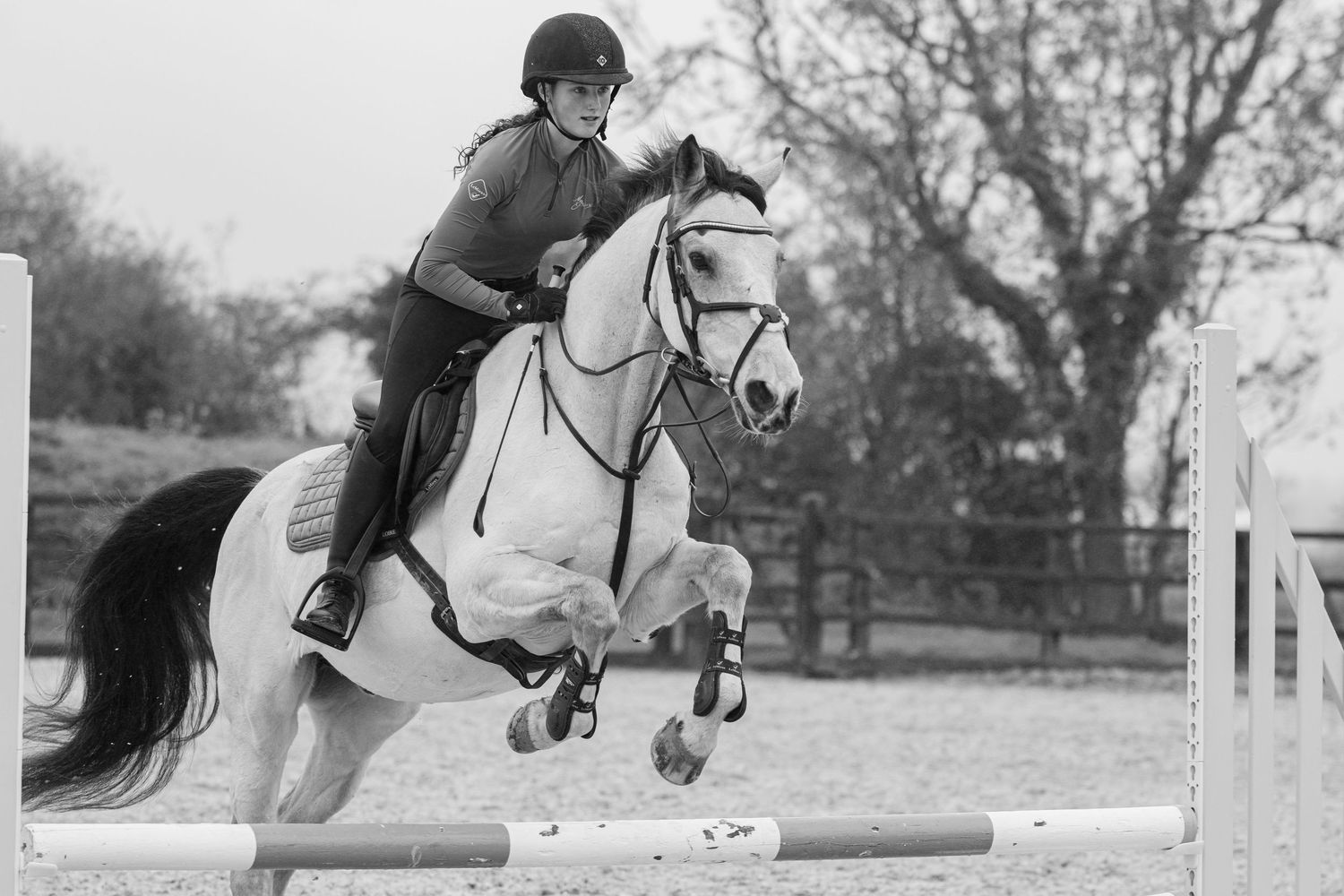 Equine photography showjumping