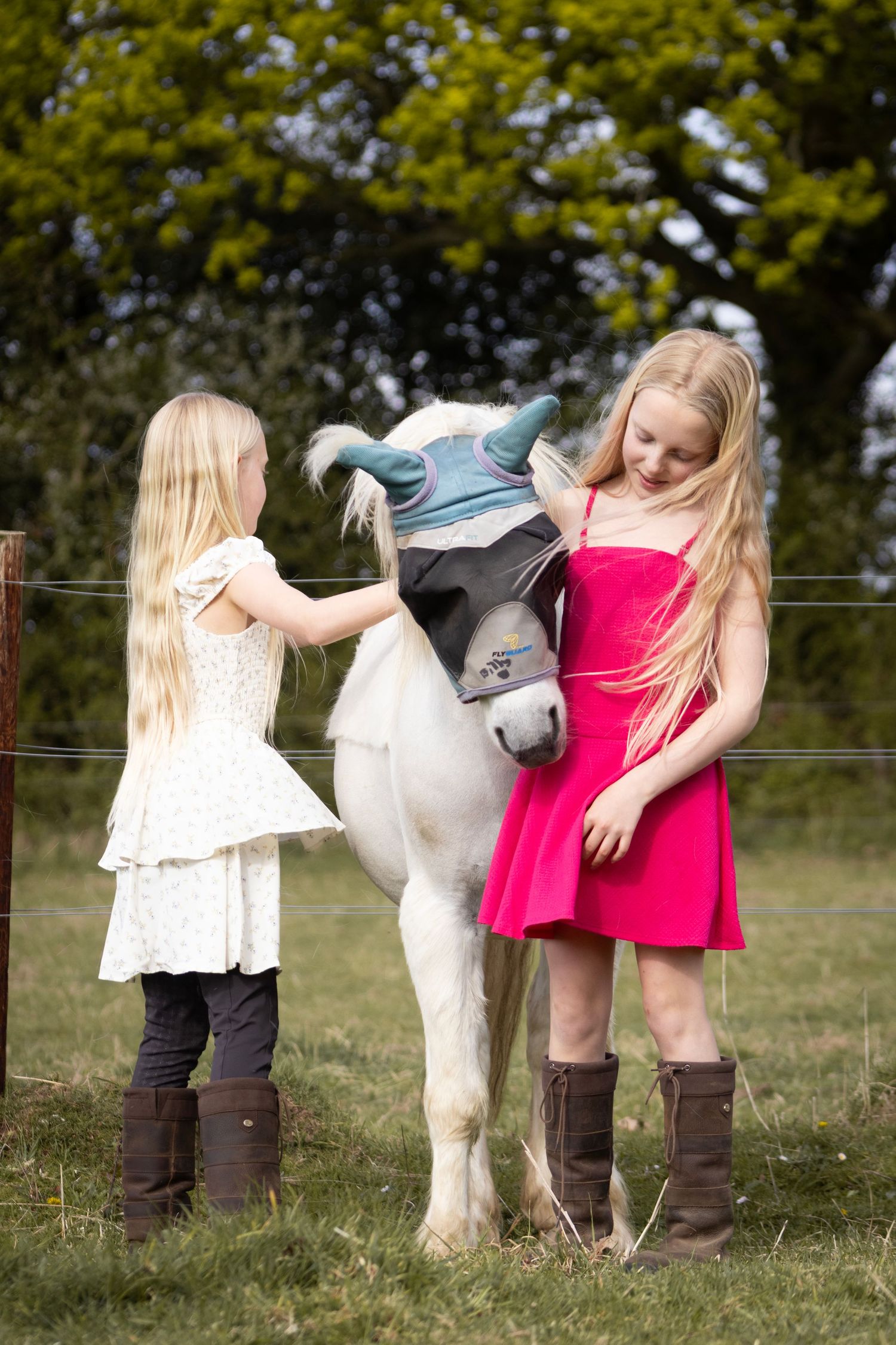 equine photography norfolk