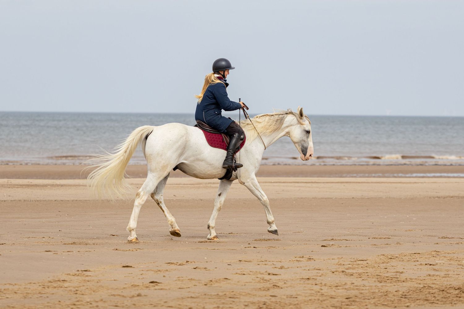 Equine photography norfolk beach riding