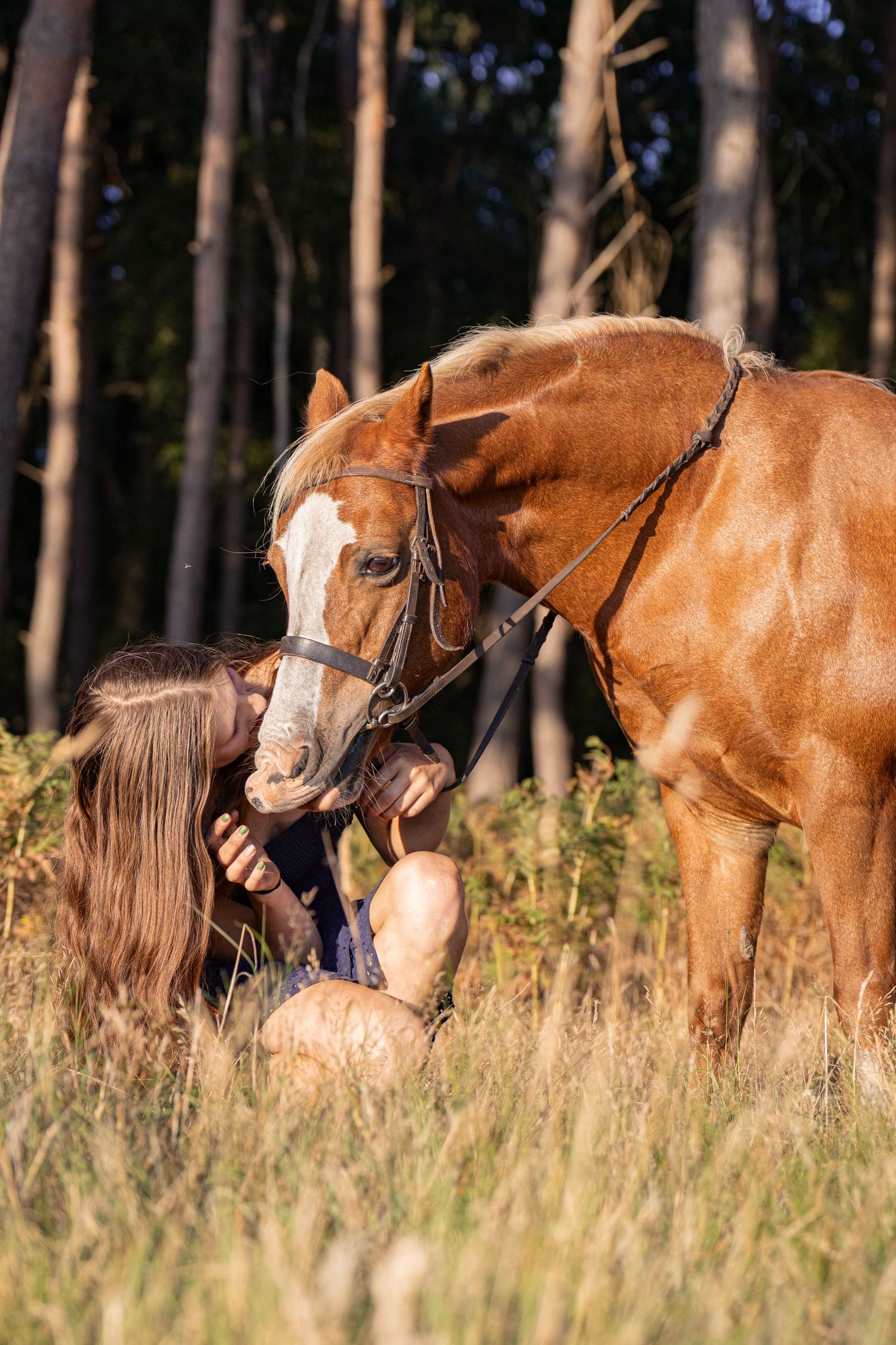 Equine photography woodland photosEquine photography woodland photos