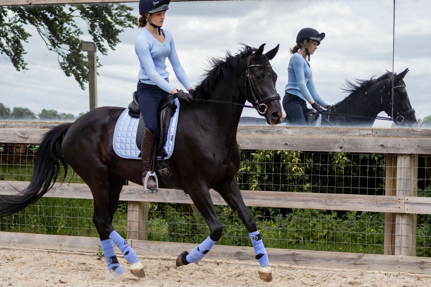 Equine photography dressage