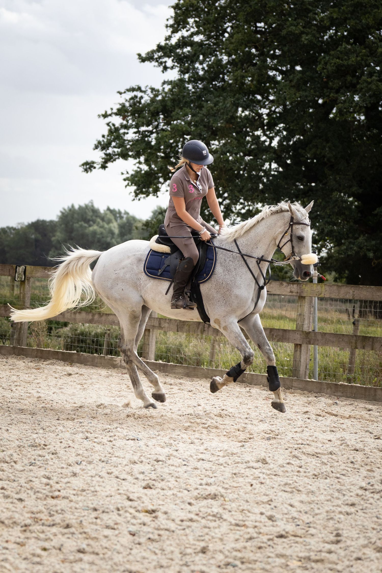 equine photography norfolk ruturnbullphotography