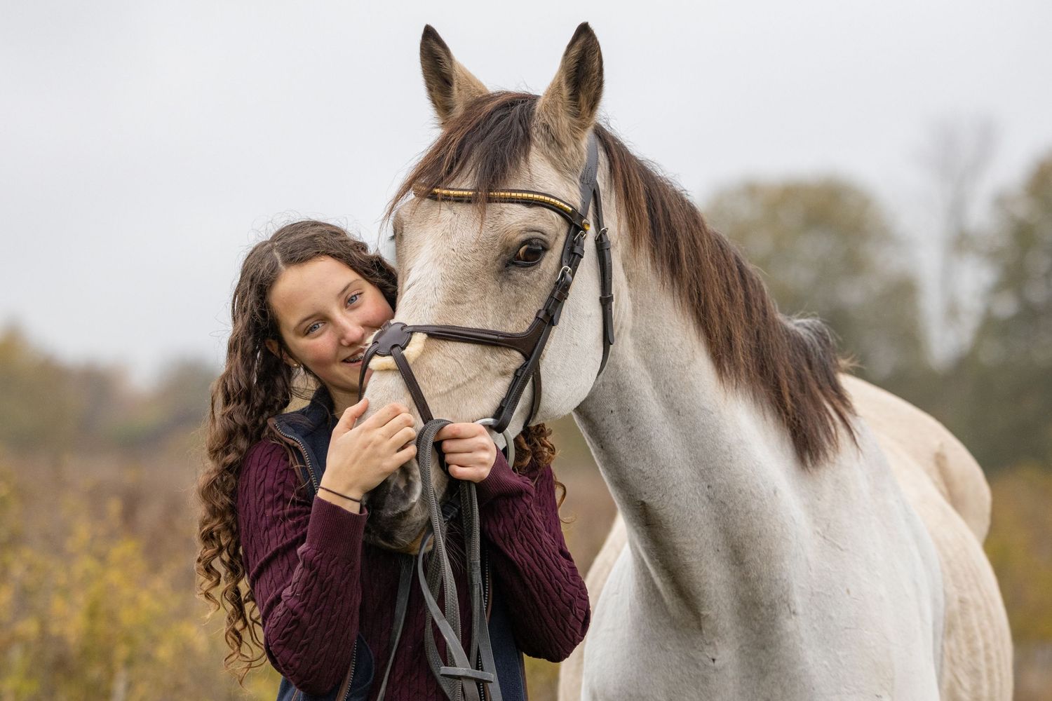 Equine photography portrait