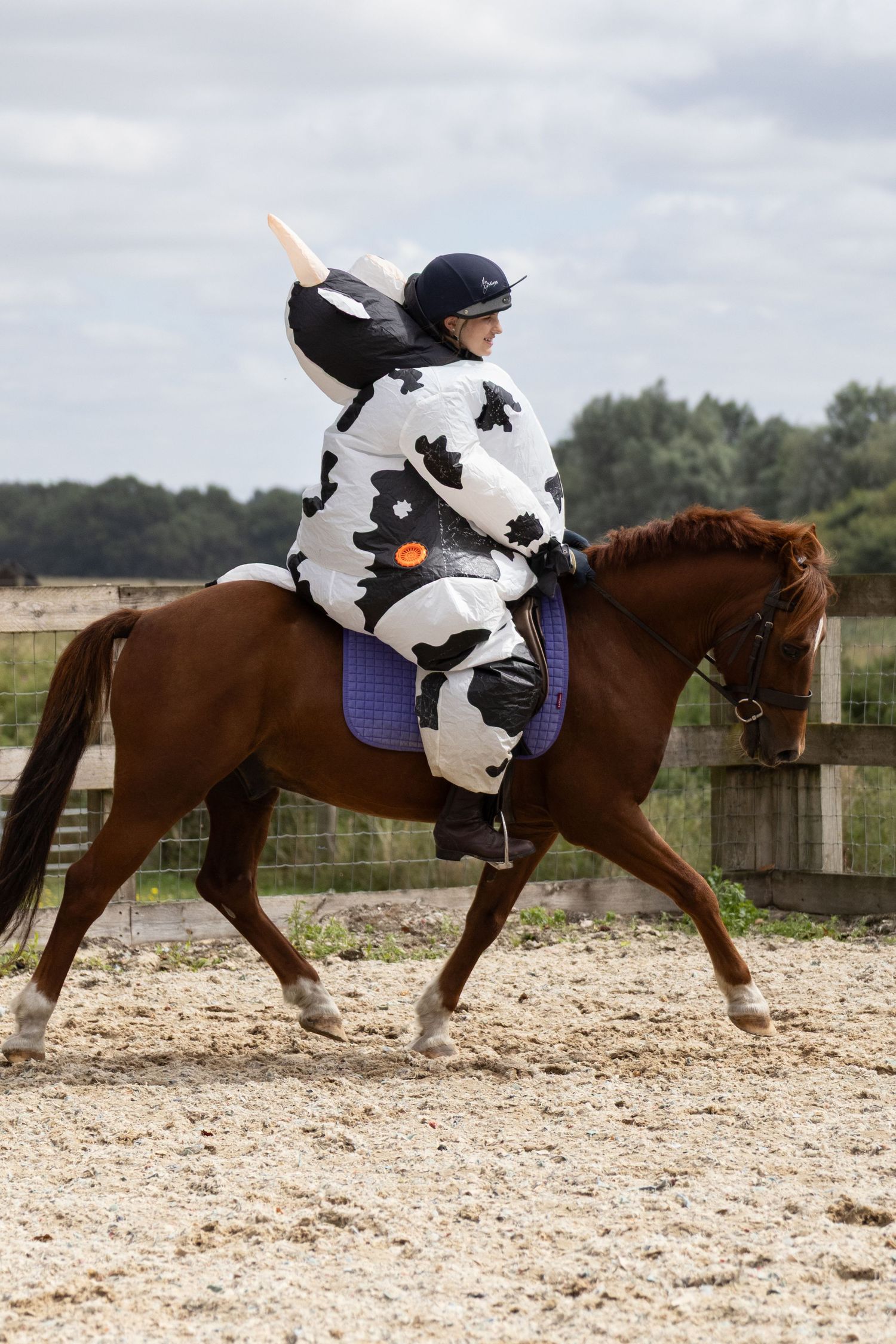 equine photography norfolk ruturnbullphotography