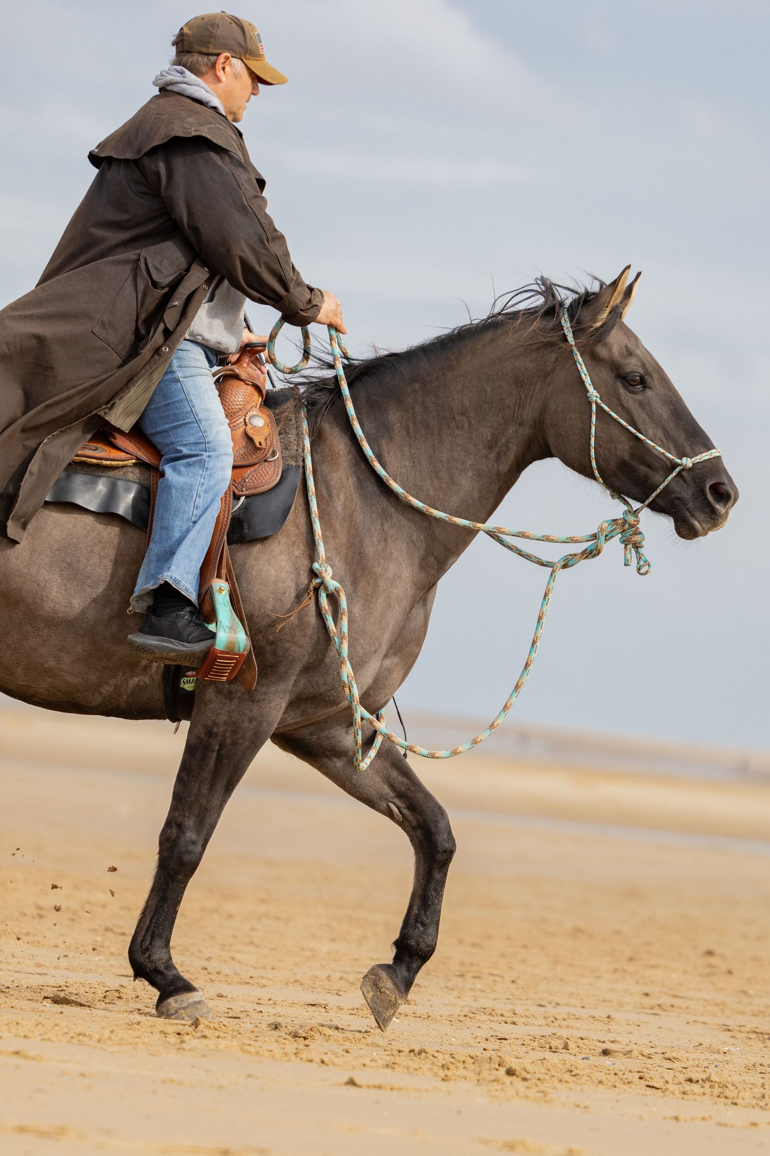 Equine photography norfolk beach riding