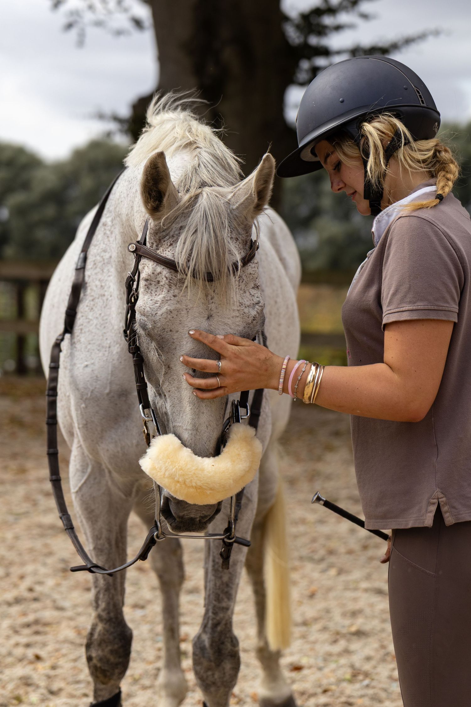 Equine photography dressage
