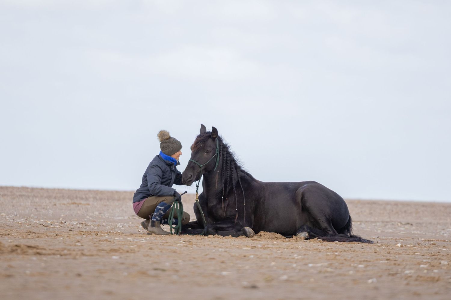 Equine photography beach liberty horsemanship