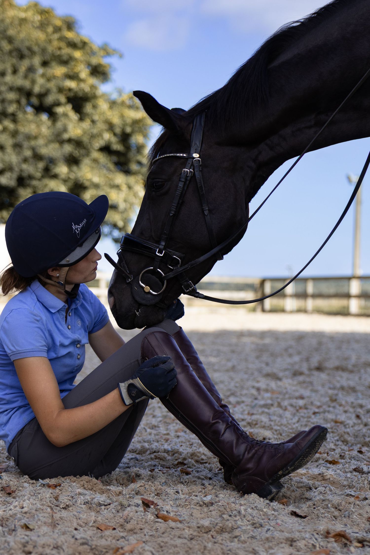 Equine photography fine art