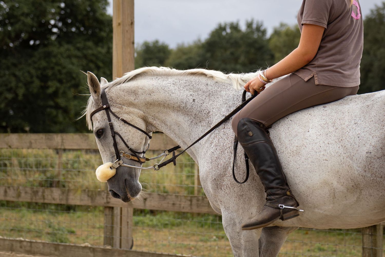 equine photography norfolk ruturnbullphotography
