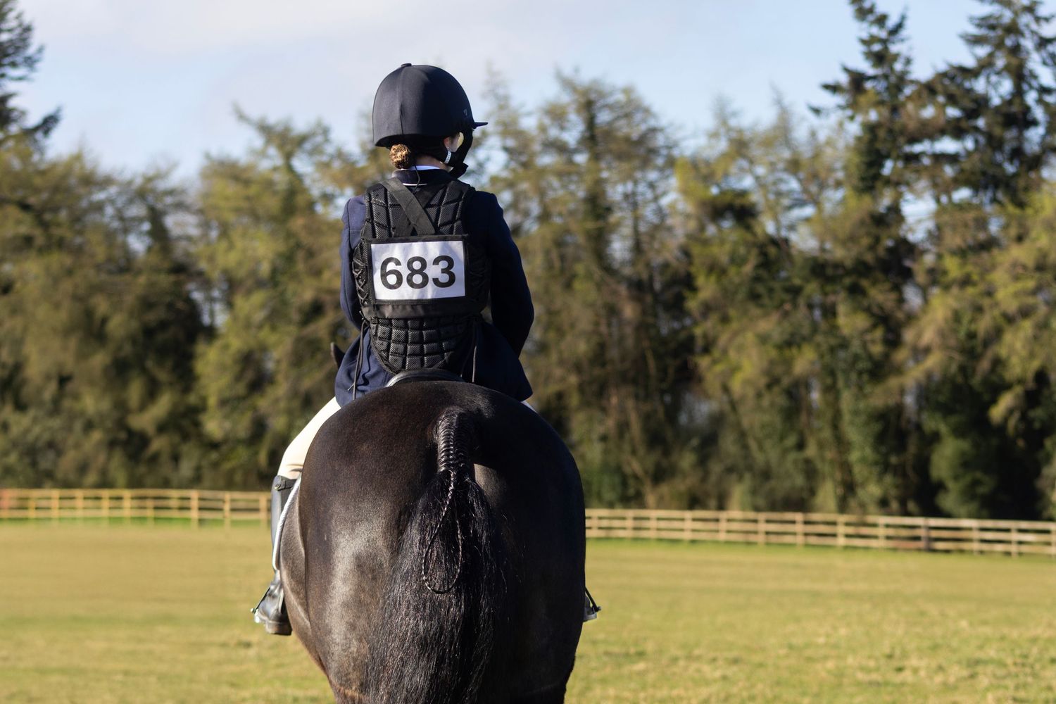 equine photography norfolk