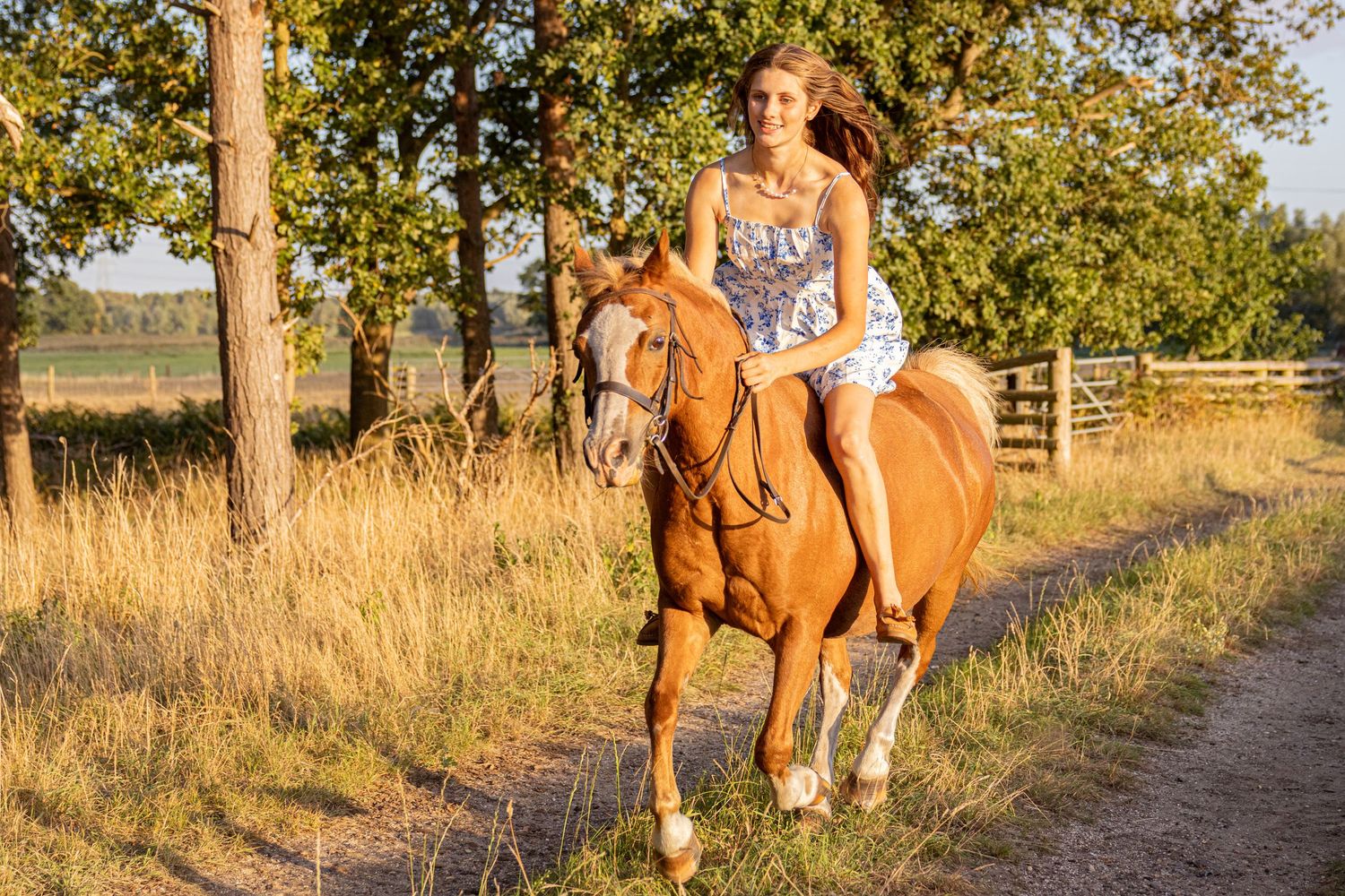 Equine photography woodland photos