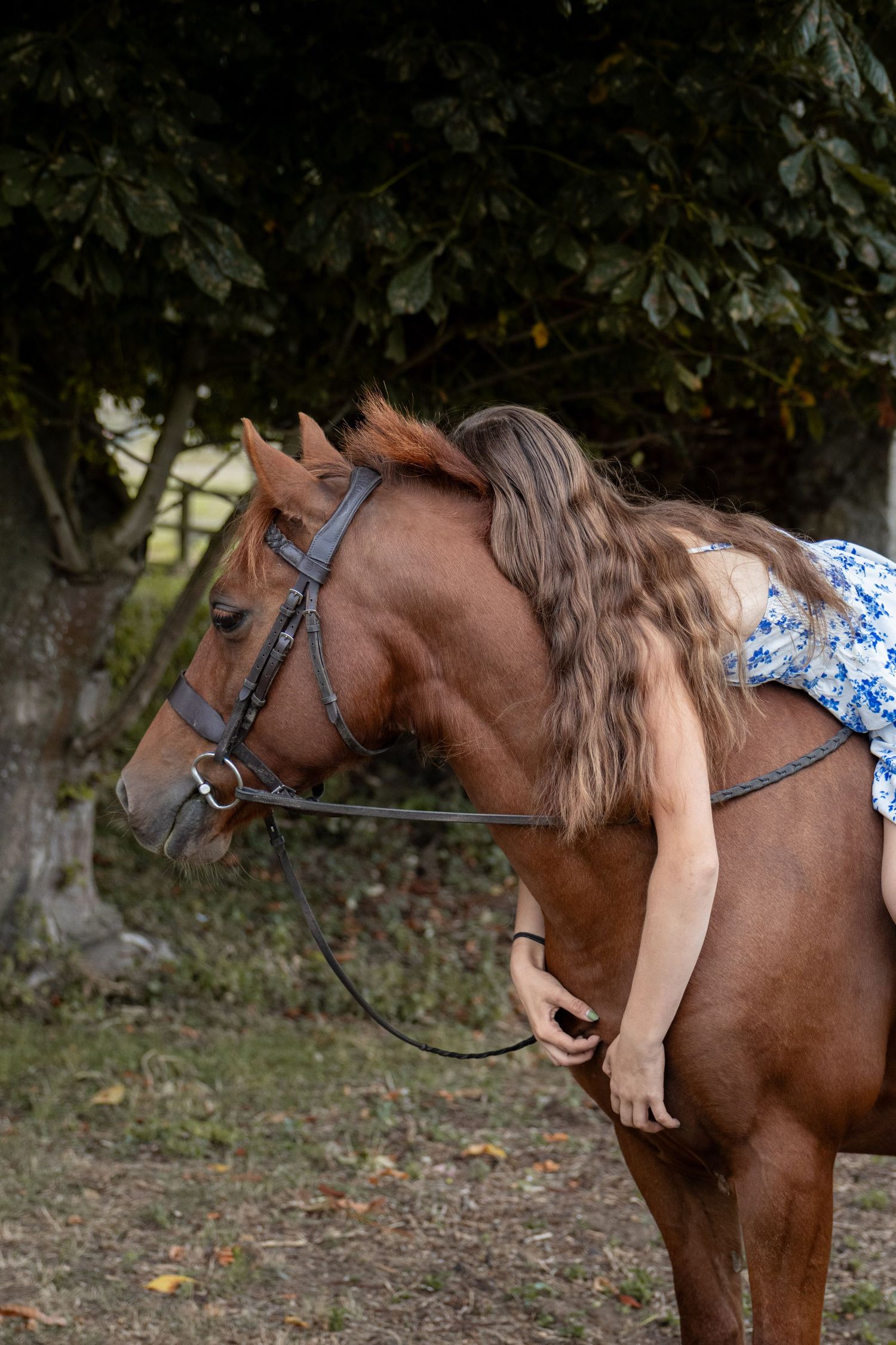 equine photography norfolk ruturnbullphotography