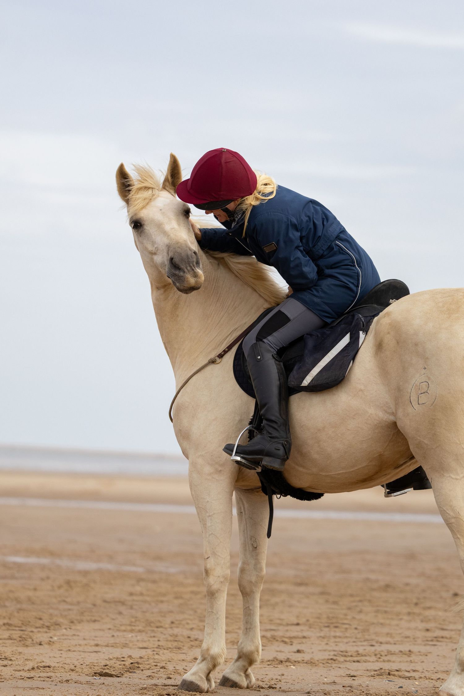 Equine photography norfolk beach riding
