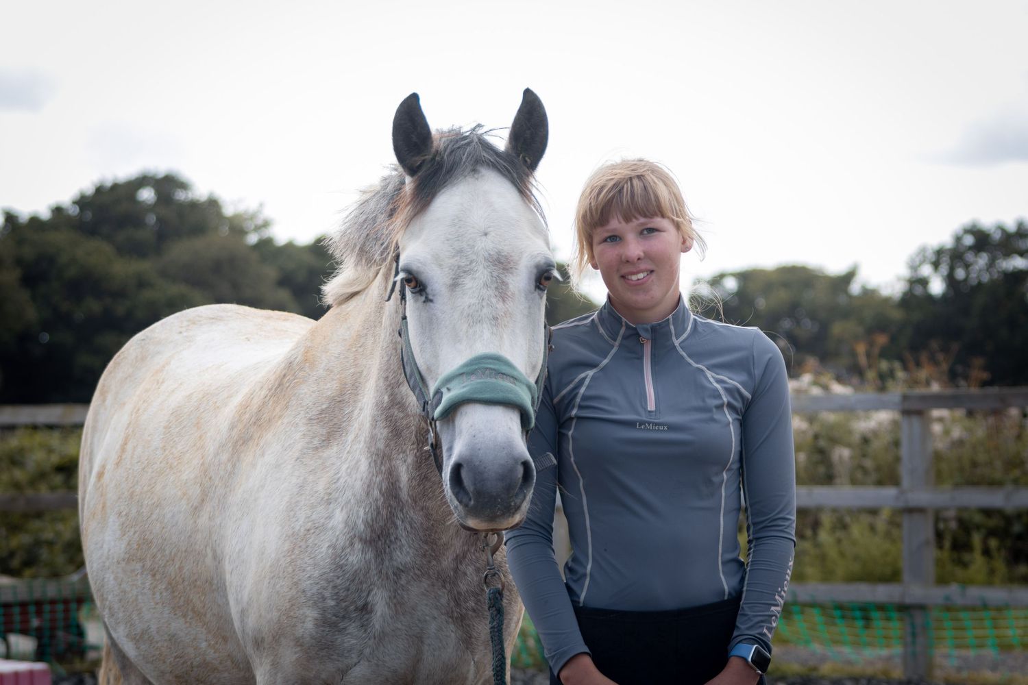 Equine photography portrait