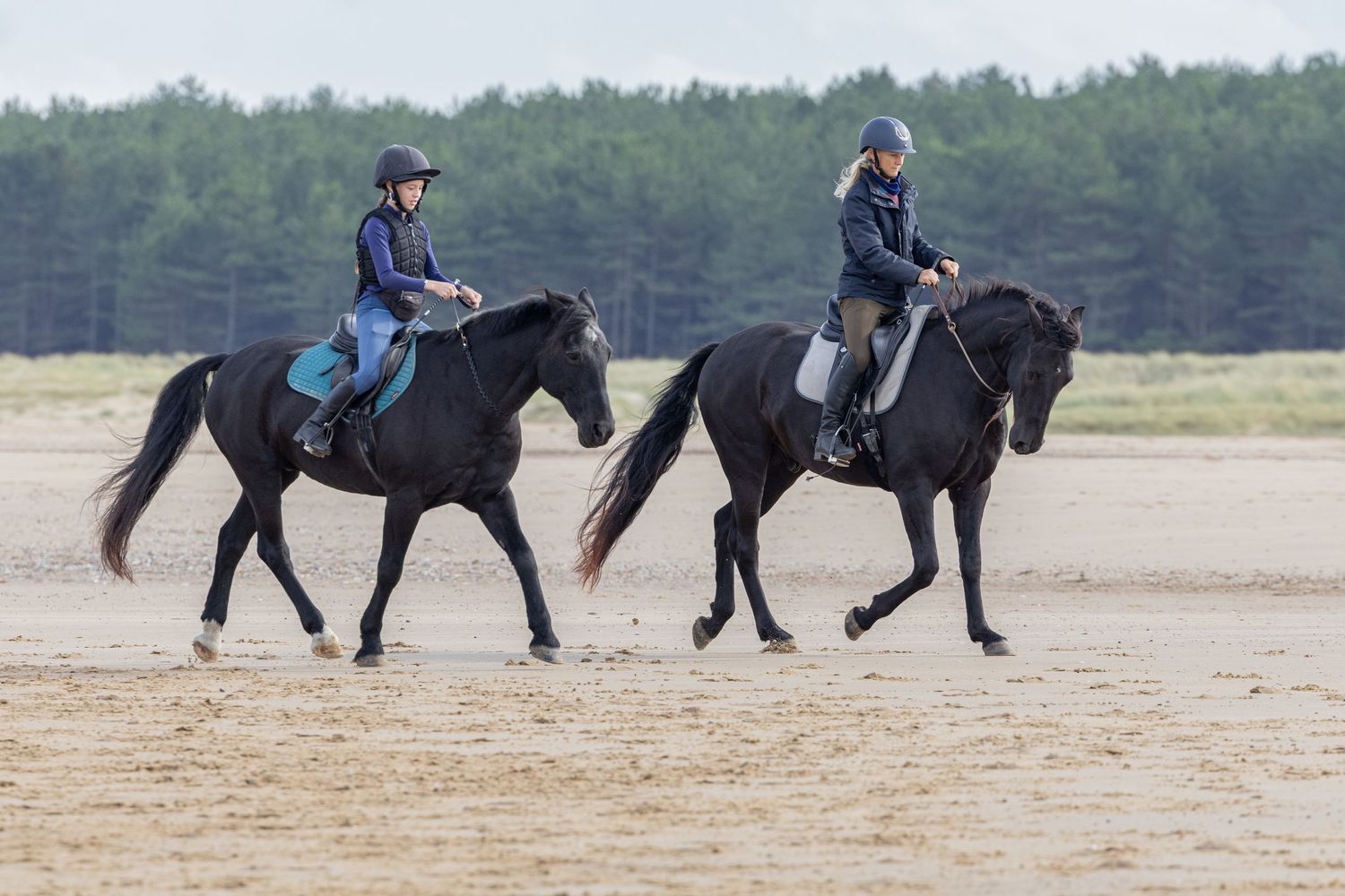 Equine photography norfolk beach riding thea equestrian