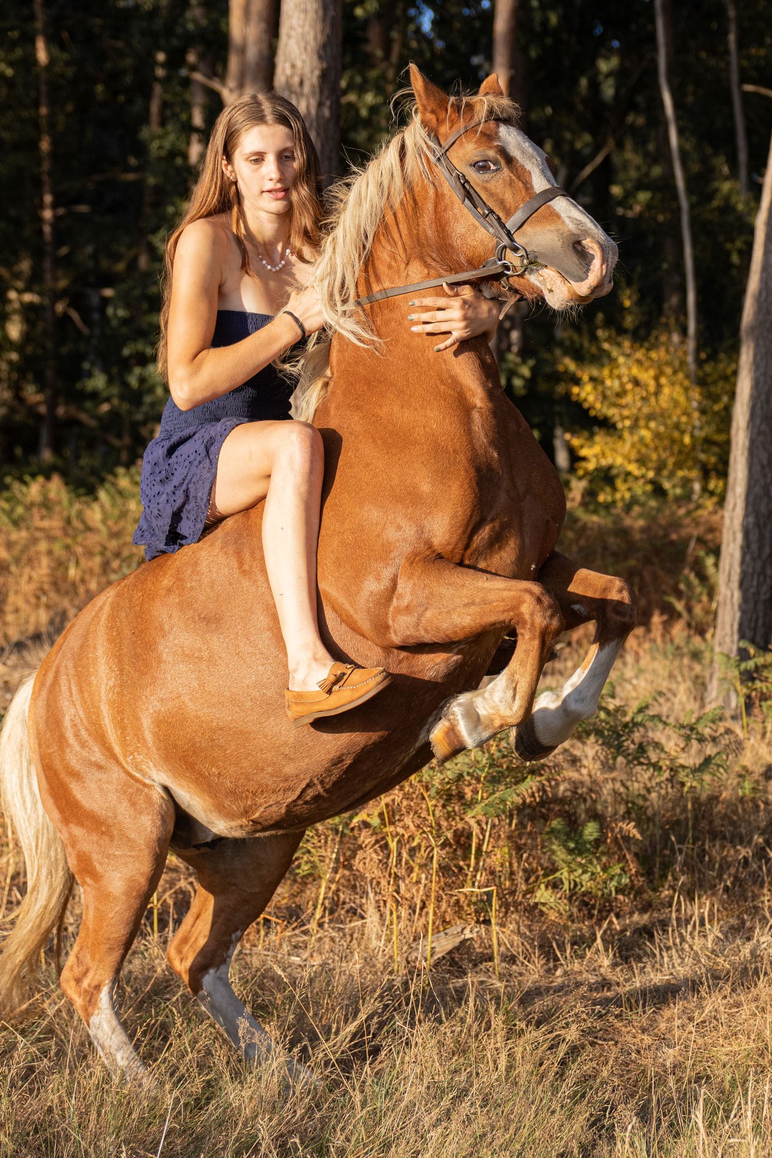 Equine photography woodland photos