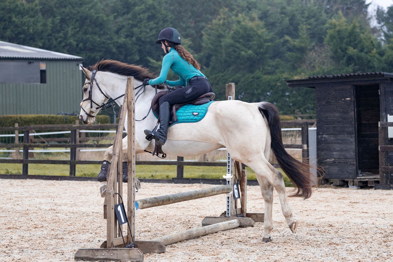 Equine photography showjumping norfolk