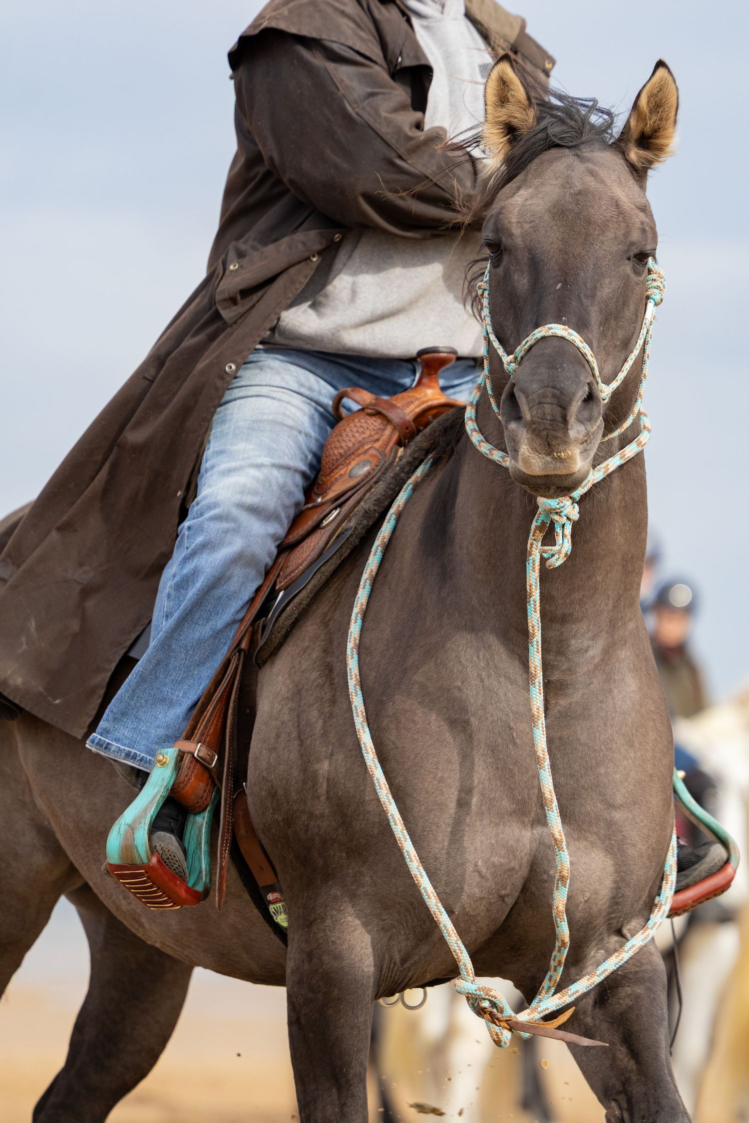 Equine photography norfolk beach riding
