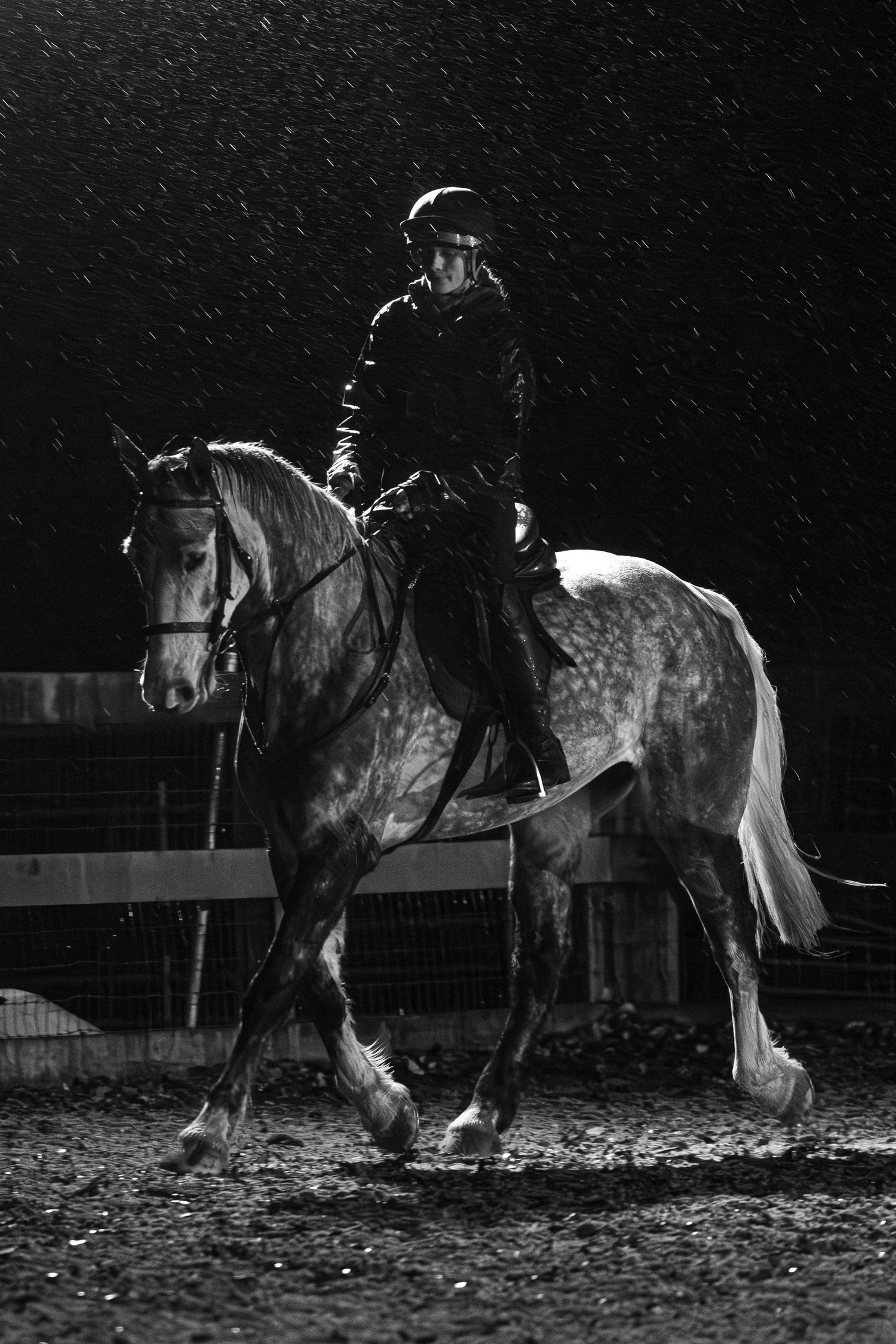 norfolk equine photography