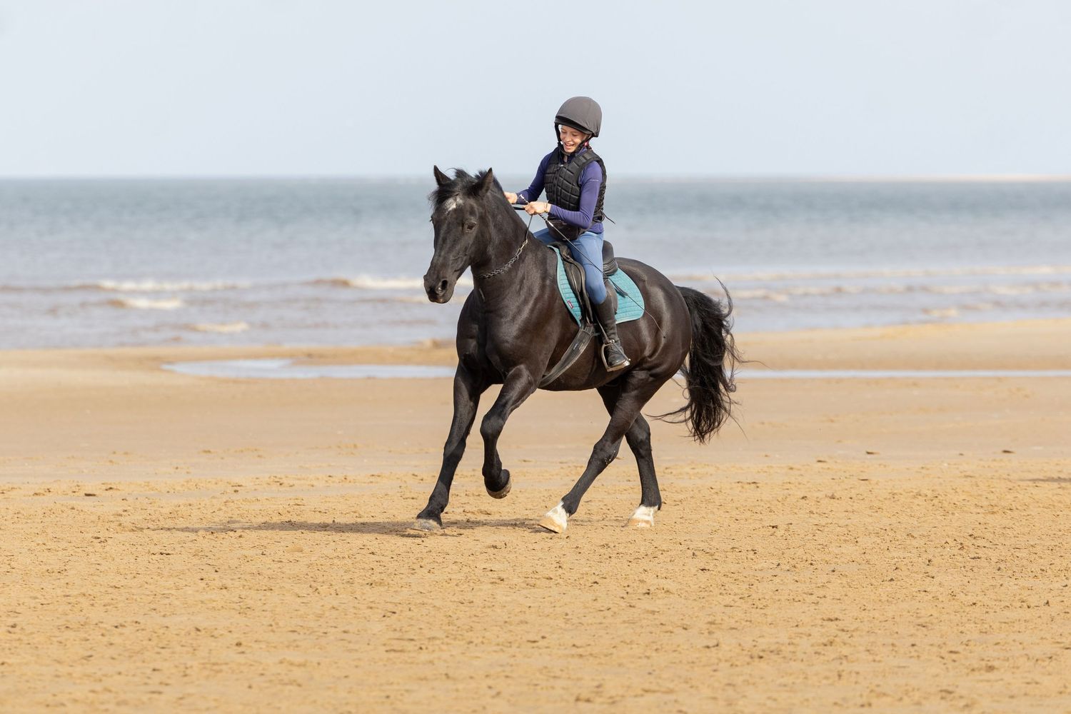 Equine photography norfolk beach riding