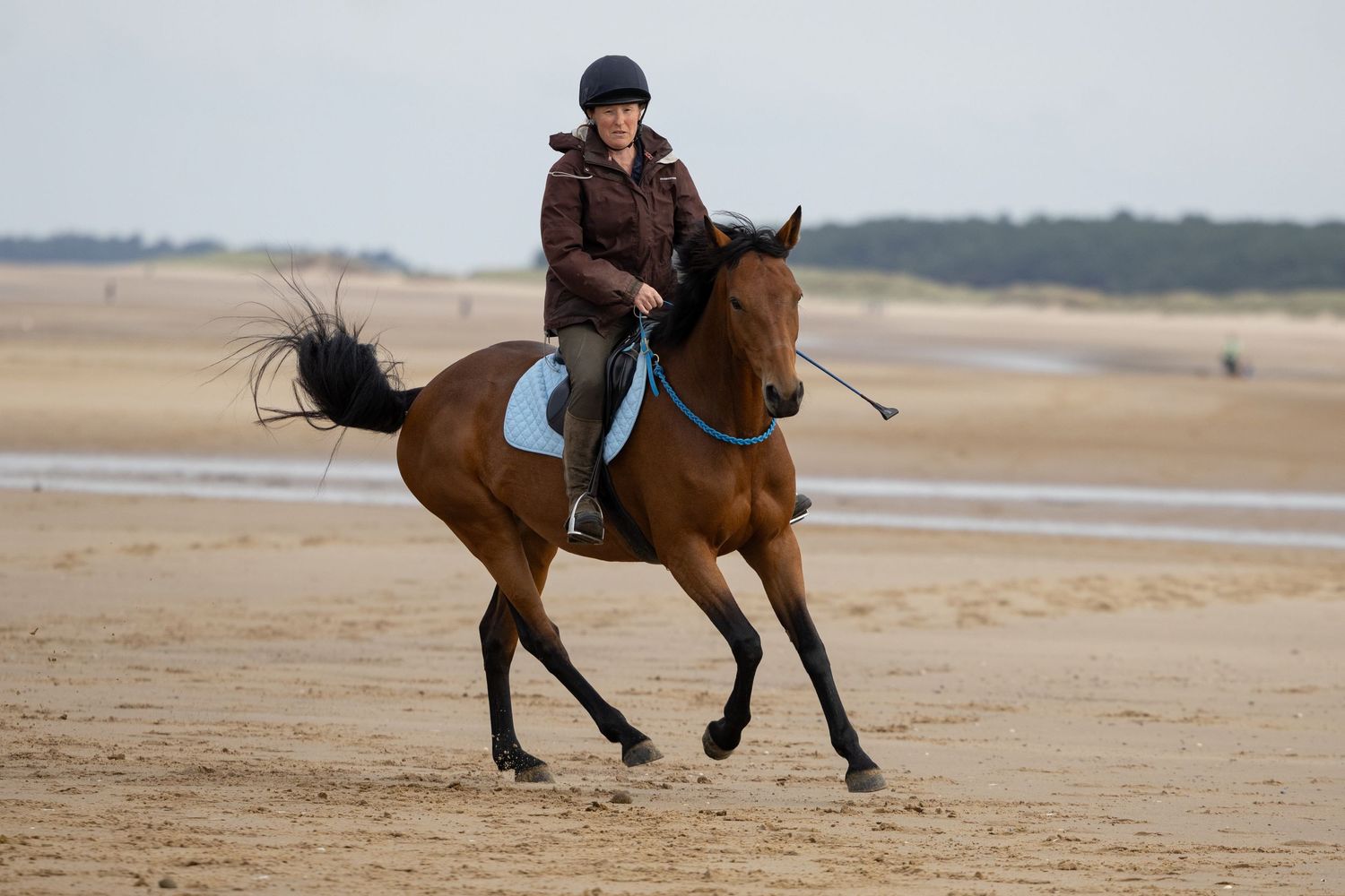 Equine photography norfolk beach riding thea equestrian
