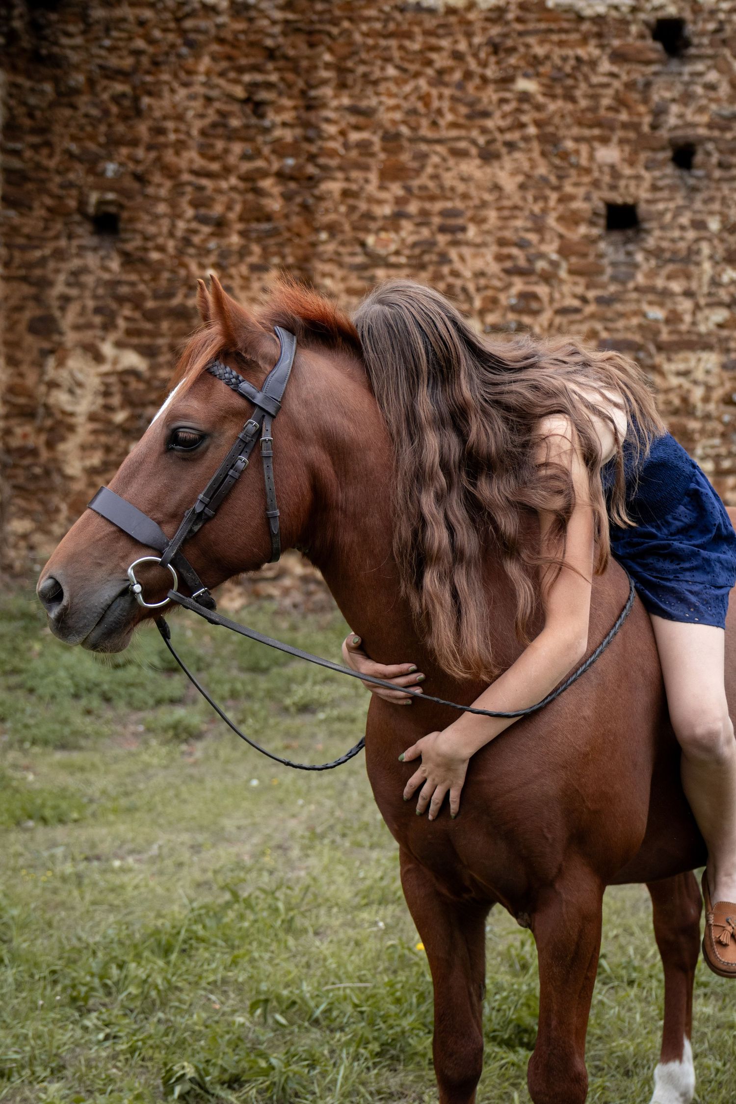 equine photography norfolk