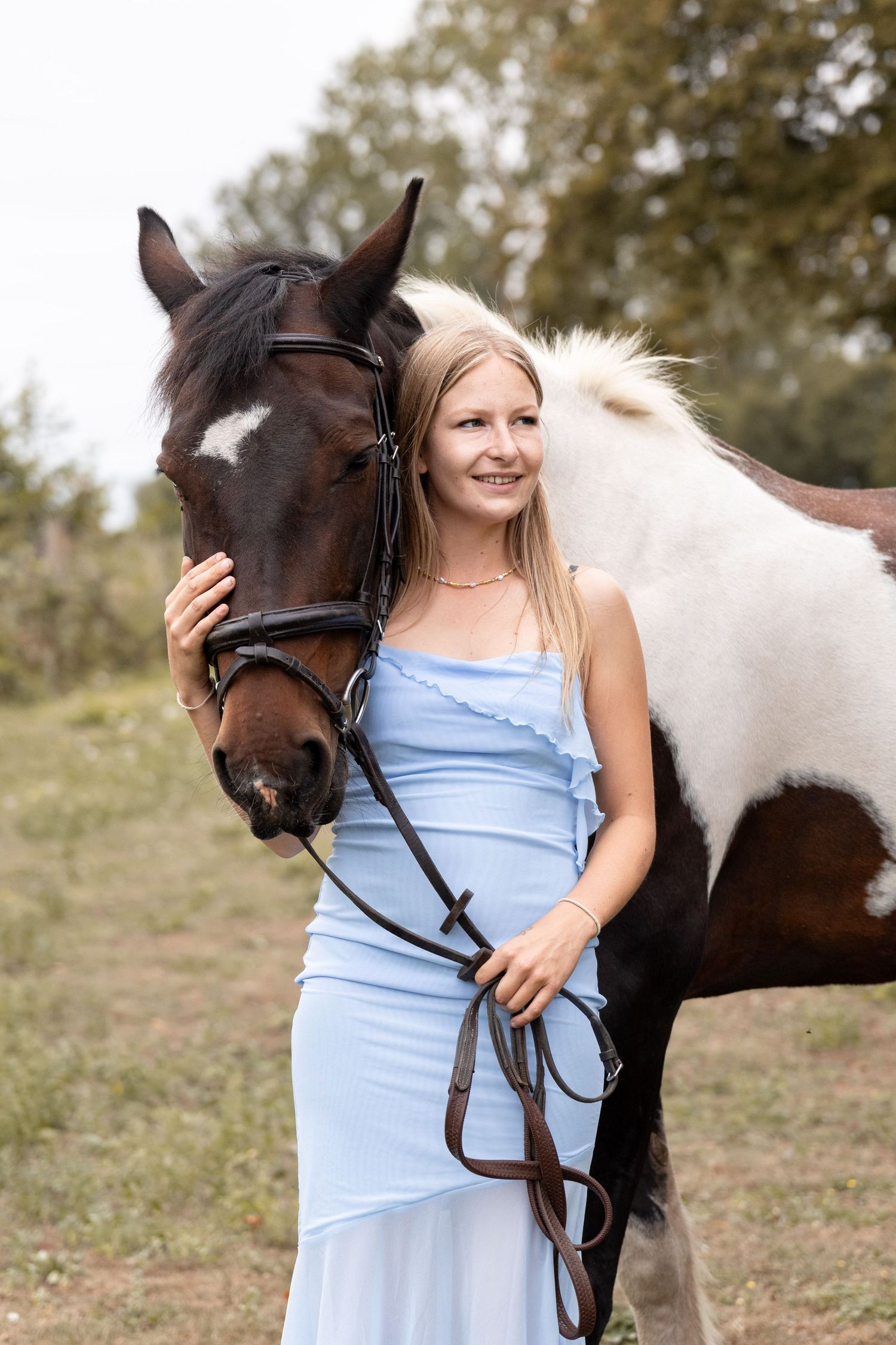 equine photography wedding