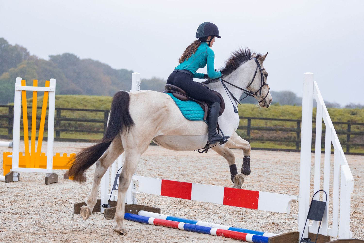 Equine photography action shot