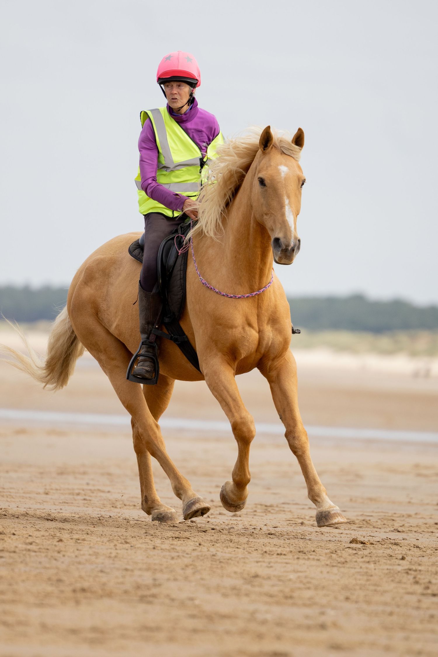 Equine photography norfolk beach riding