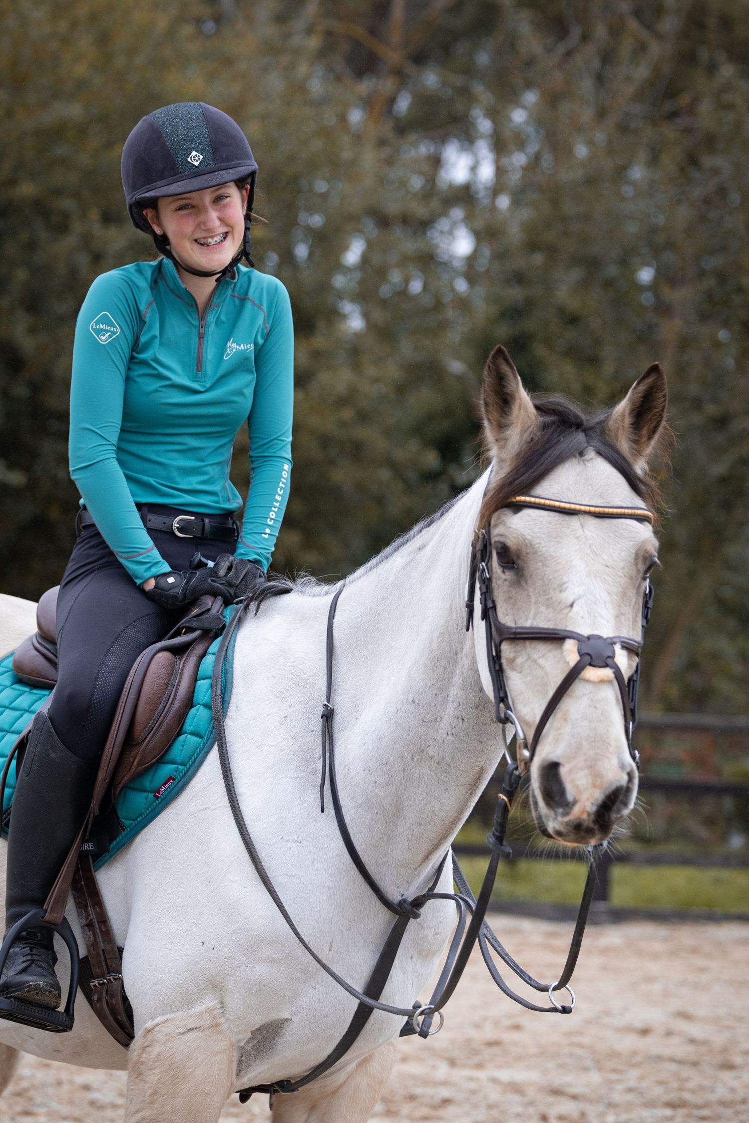 Equine photography showjumping