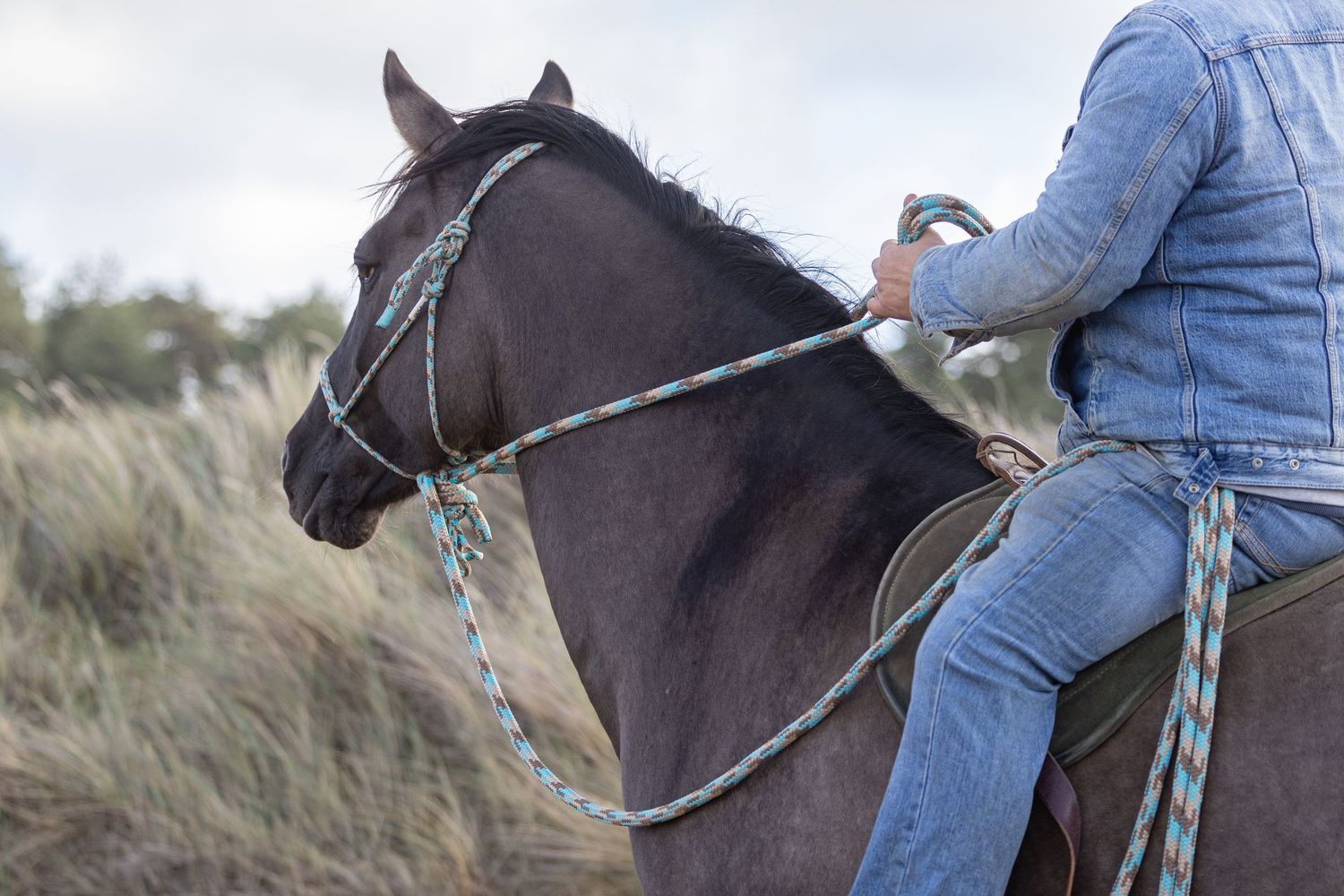 Equine photography beach