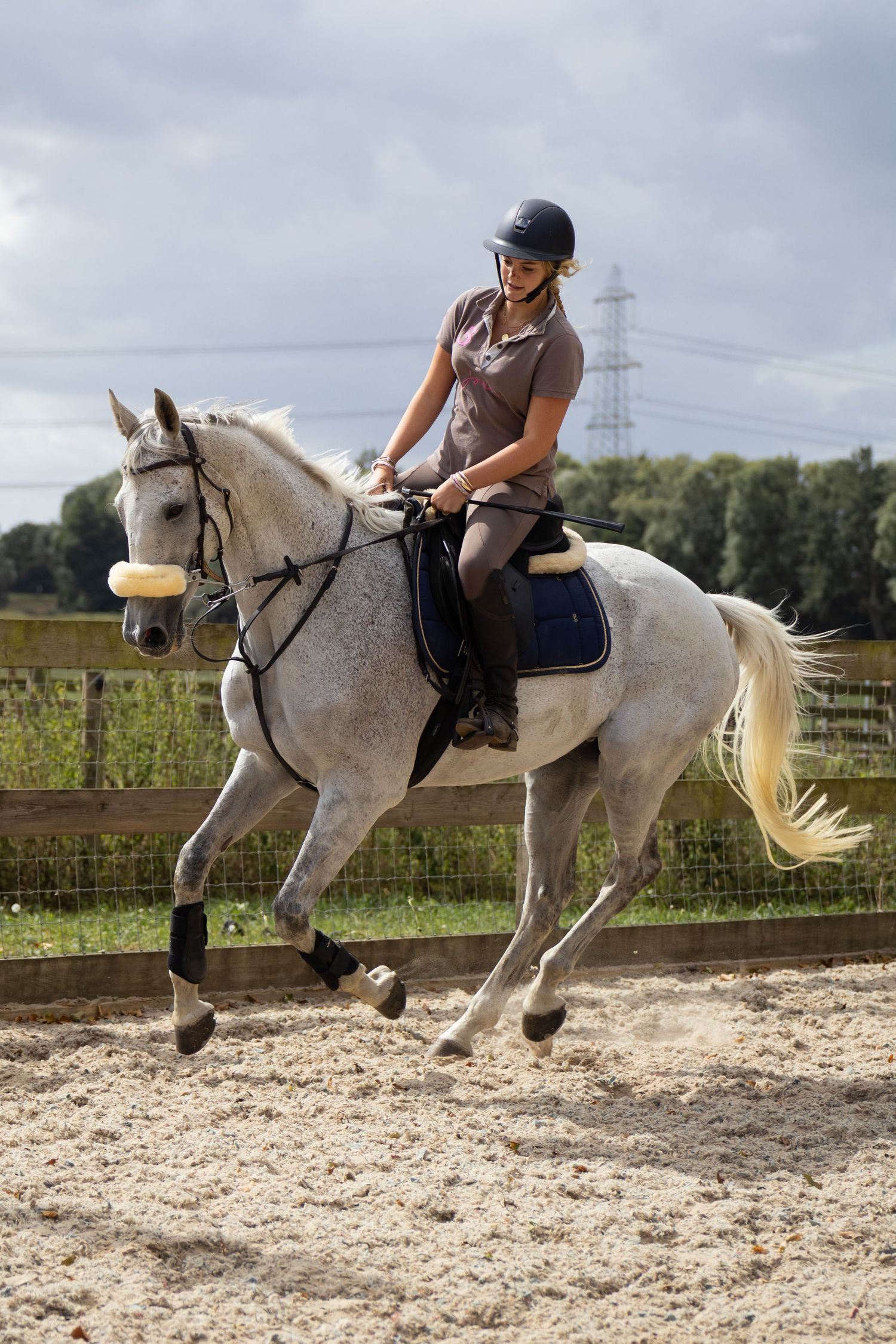 Equine photography dressage